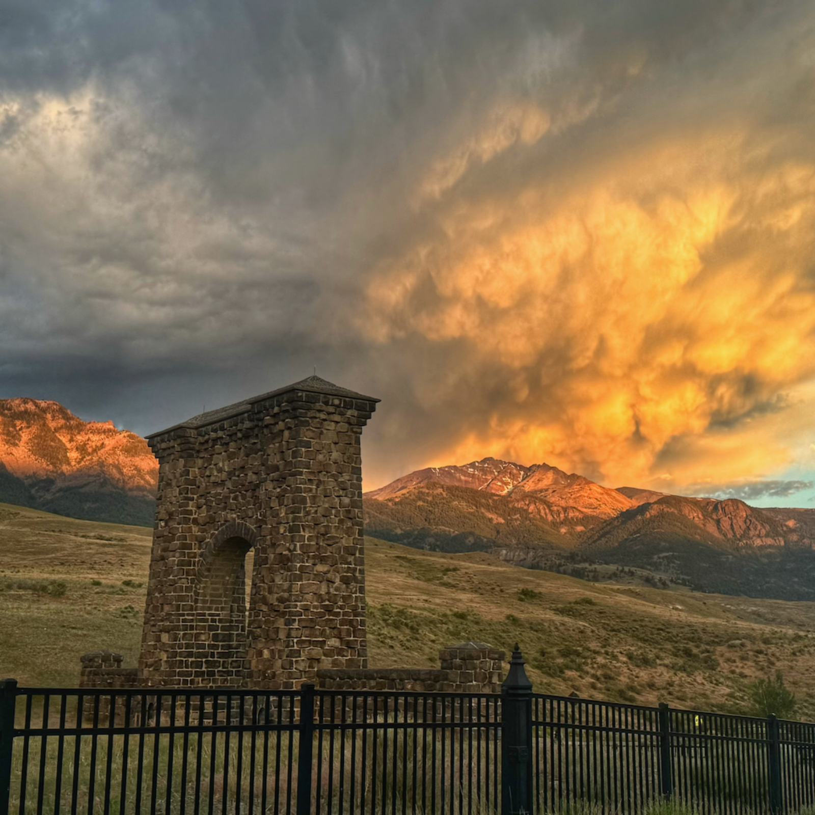 This Week in Yellowstone: June 25th to July 1st, 2026
