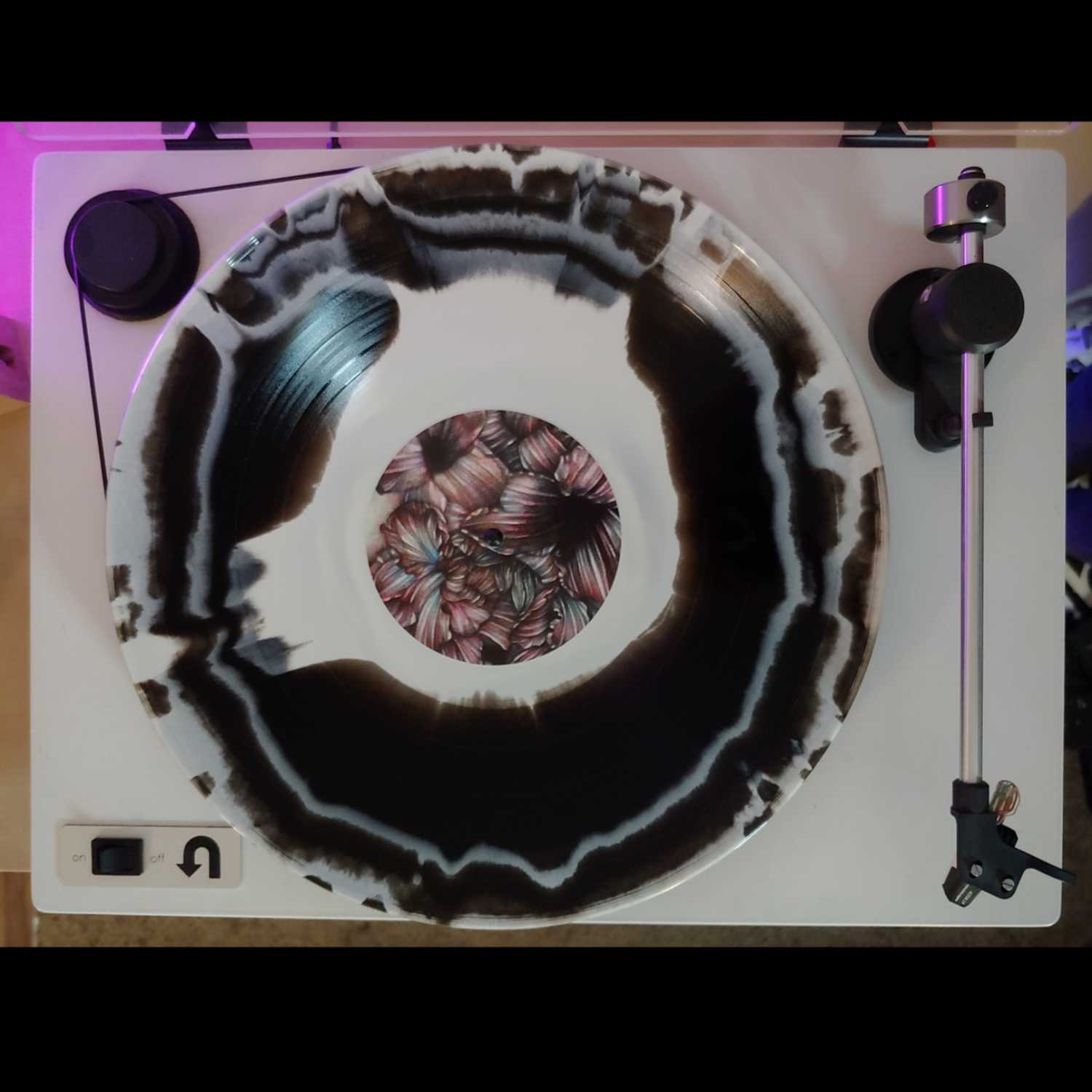 5. Tim and Corey Have A DIVISI Discussion. 5. Tim and Corey Have A DIVISI Discussion.