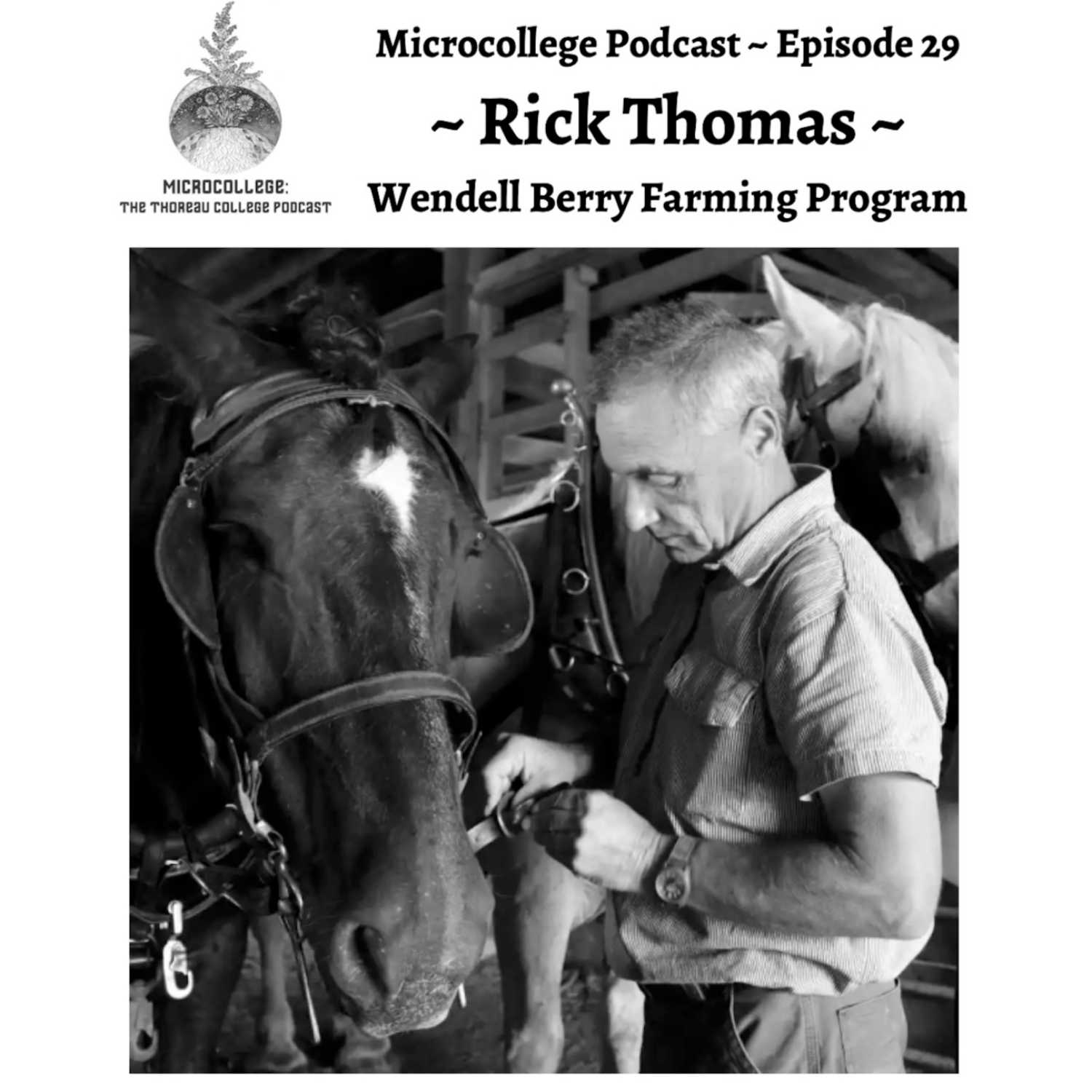 MICROCOLLEGE:  The Thoreau College Podcast