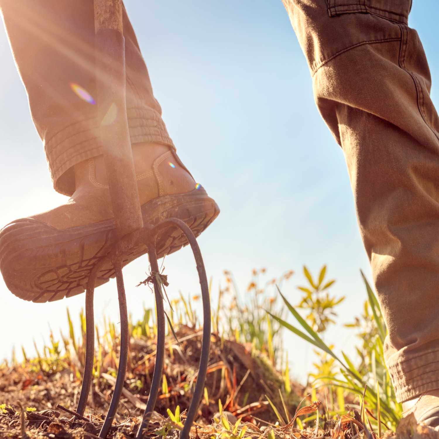 Thriving The Future Podcast – Ep. 2 – Skills Over Stuff