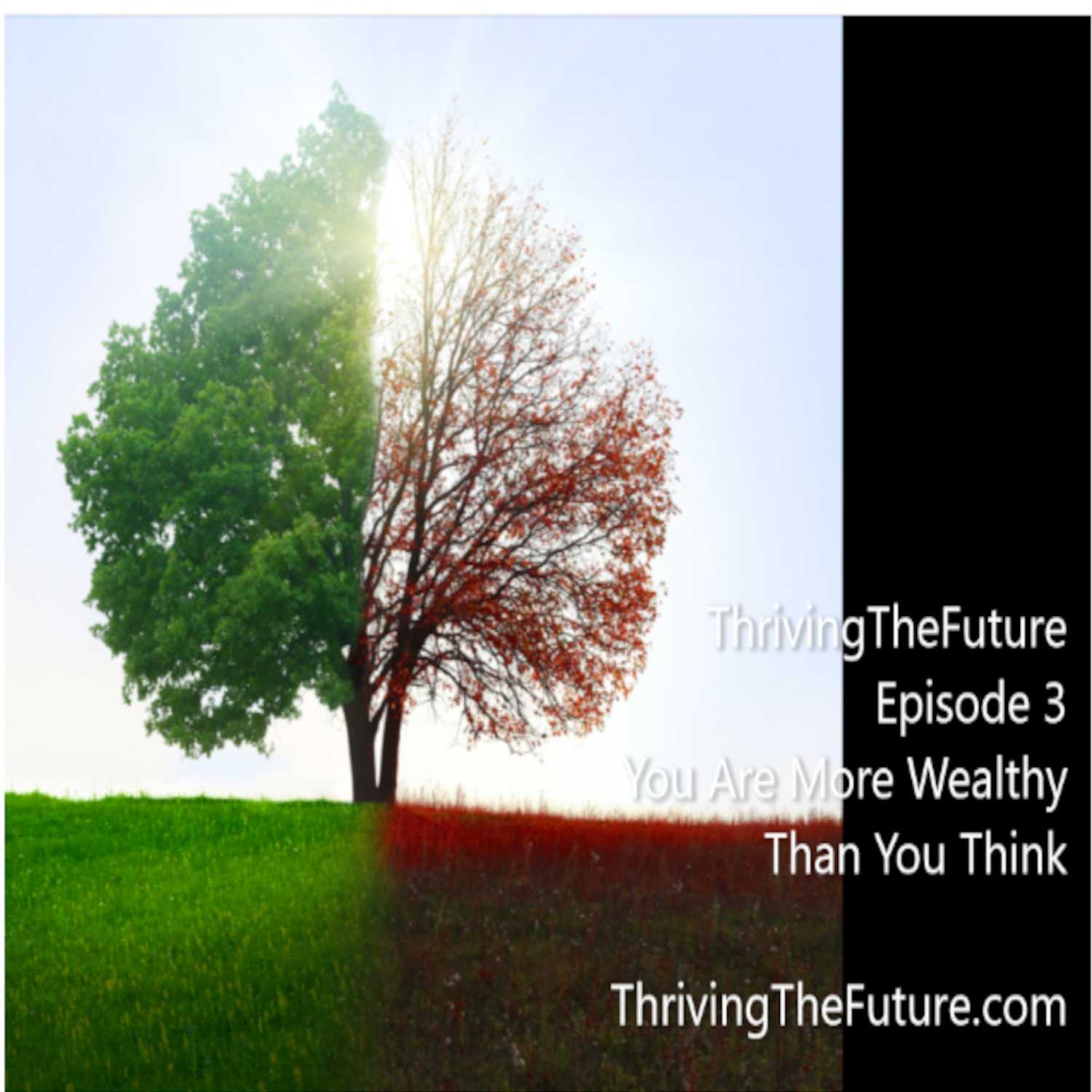 Thriving The Future Podcast Ep.3 - You Are More Wealthy Than You Think