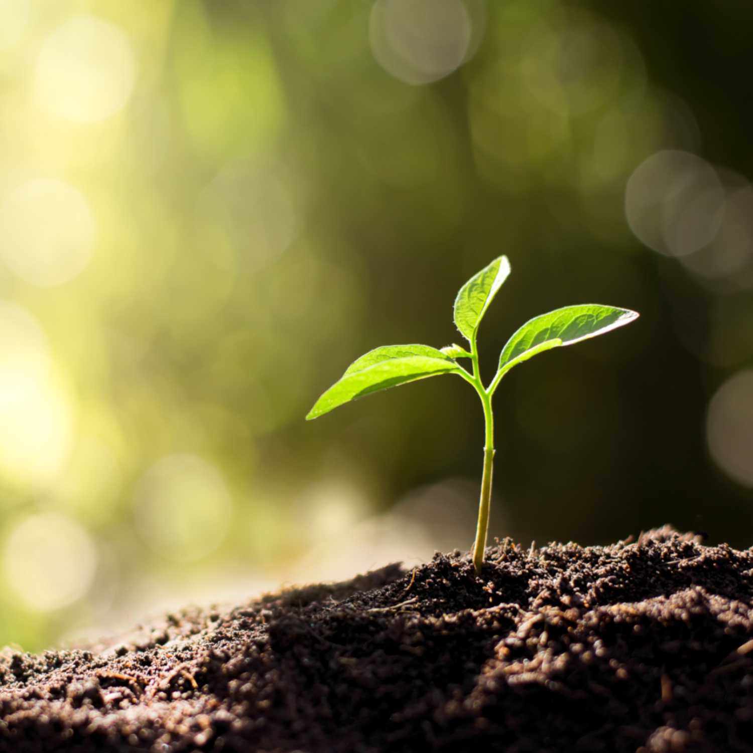 Thriving The Future Podcast Ep. 5 - Living an Intentional Life