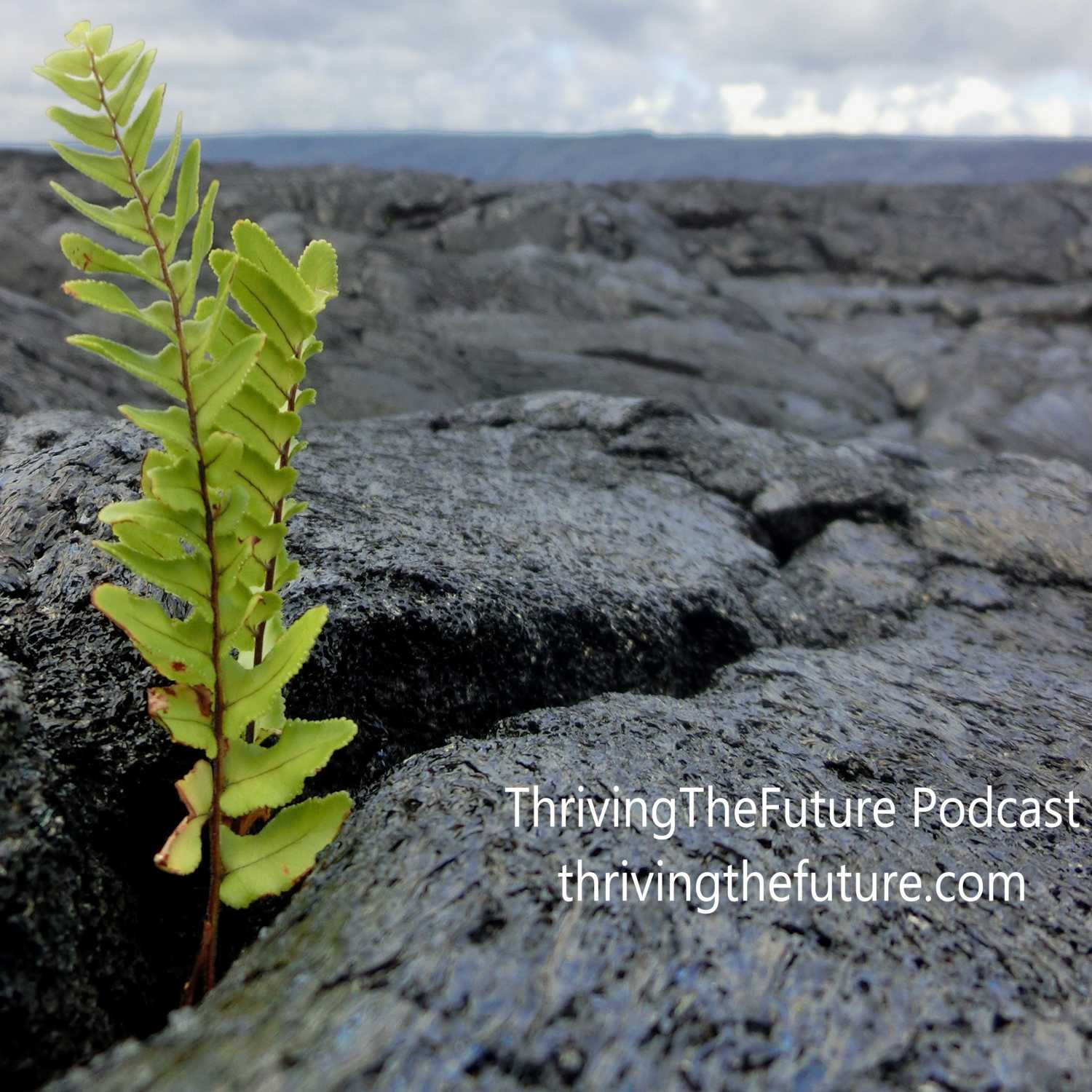 ThrivingTheFuture Podcast Ep. 8 Promo - You Know You Are Thriving When...