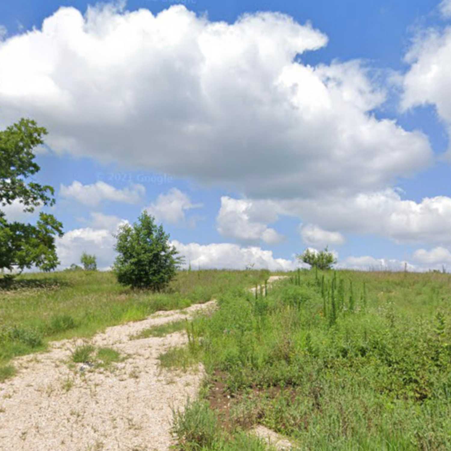 Thriving The Future Podcast Ep.26 - Choosing the Right Land