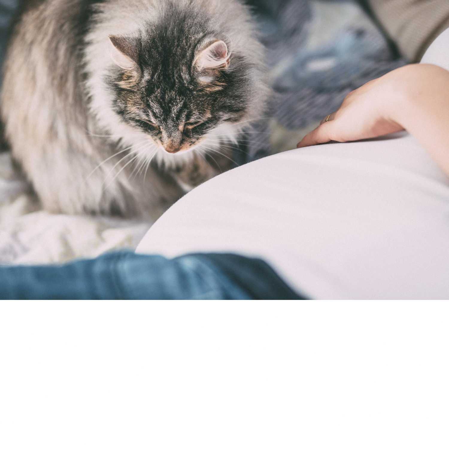 Thriving The Future Podcast Ep. 38 - Home Birth on the Homestead