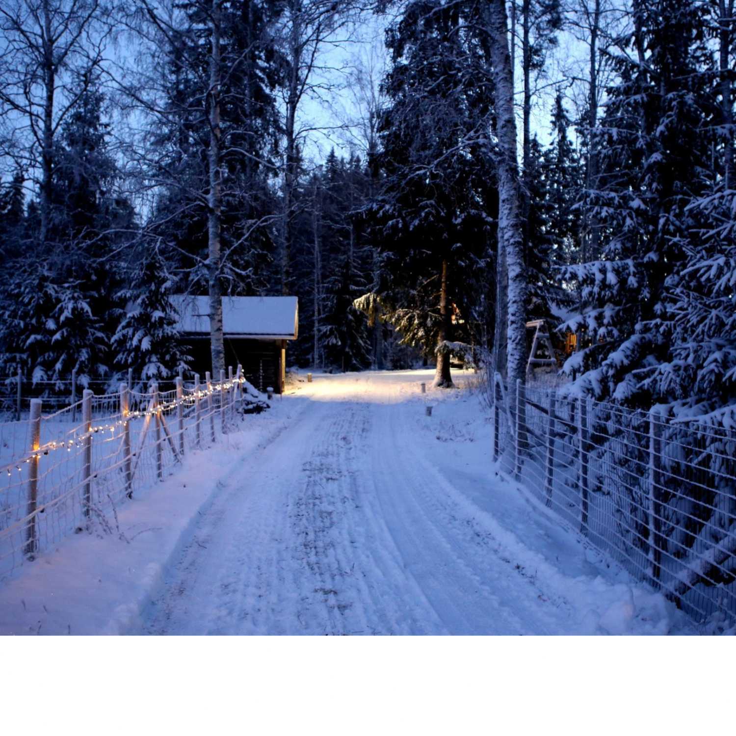 Ep. 59 - It’s the Most Wonderful Time of the Year – Holiday Stories