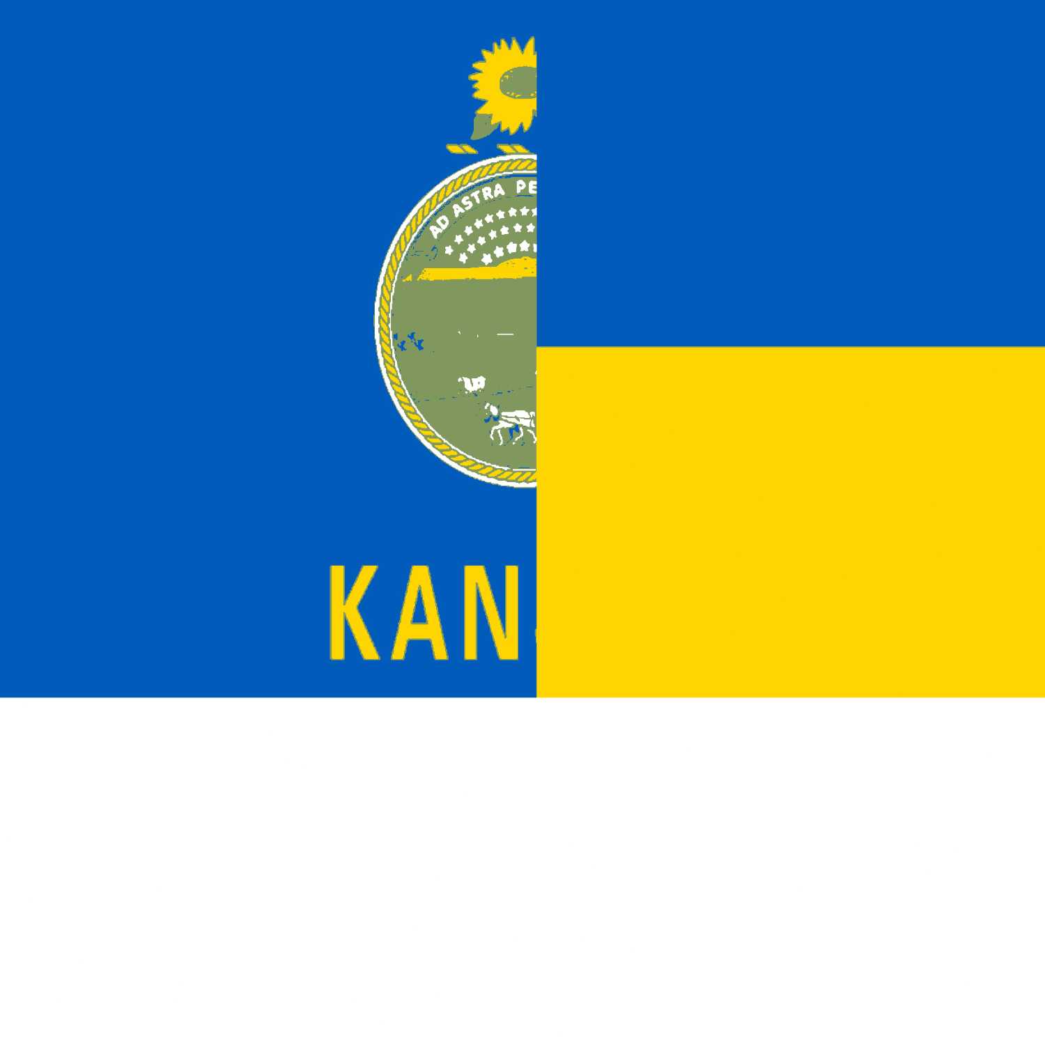 BONUS - How to Thrive in Ukraine