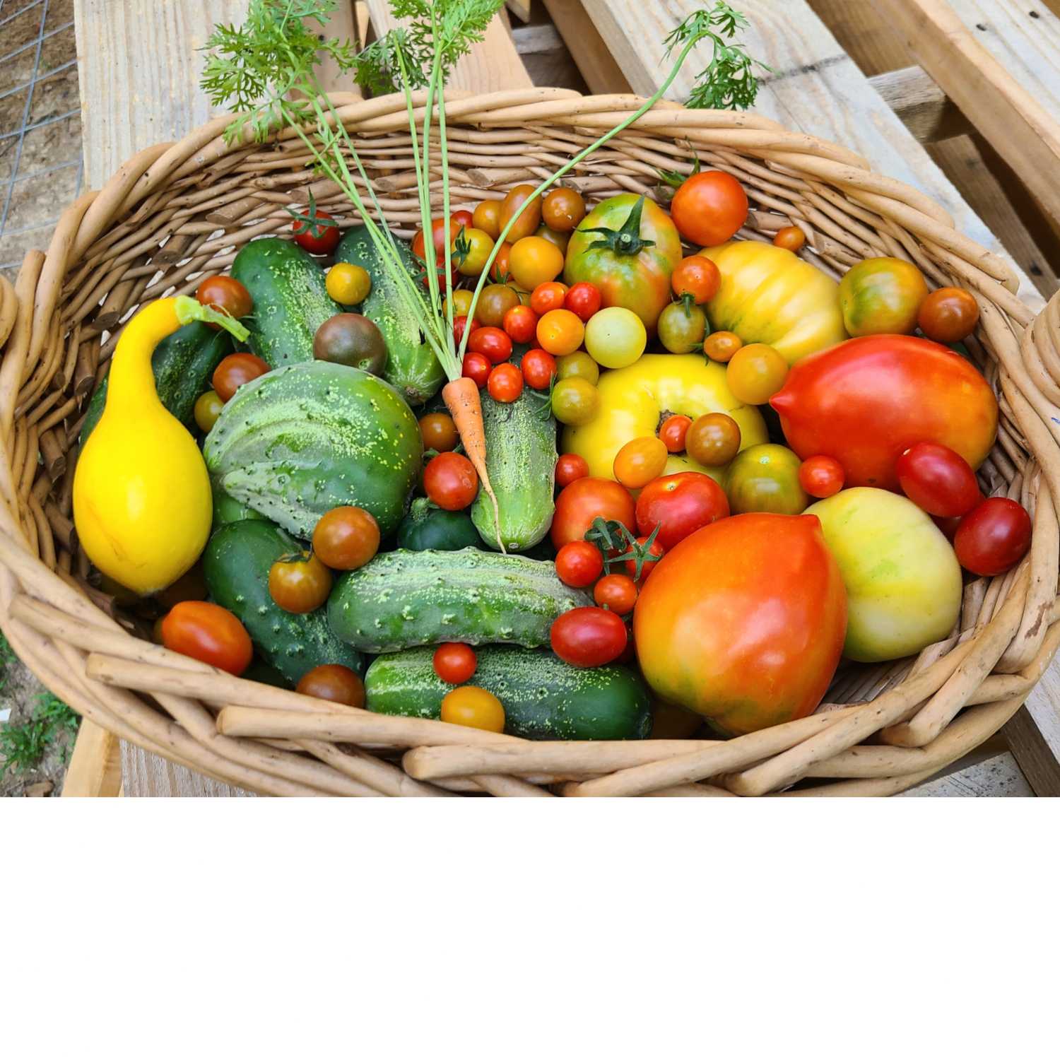 Ep. 71 - Homesteading Dreams with Grant Payne