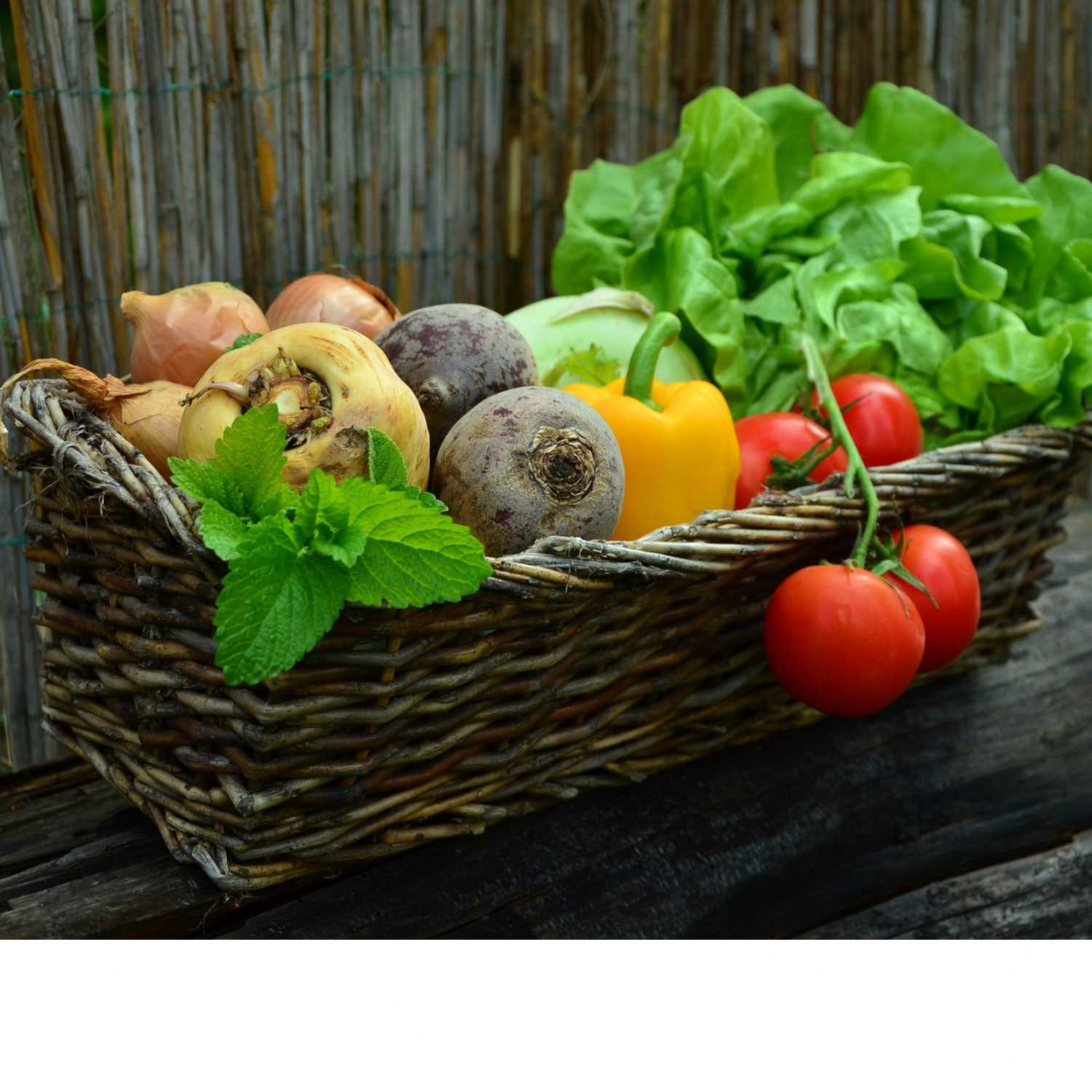 Ep. 73 - How to Grow More of Your Own Food