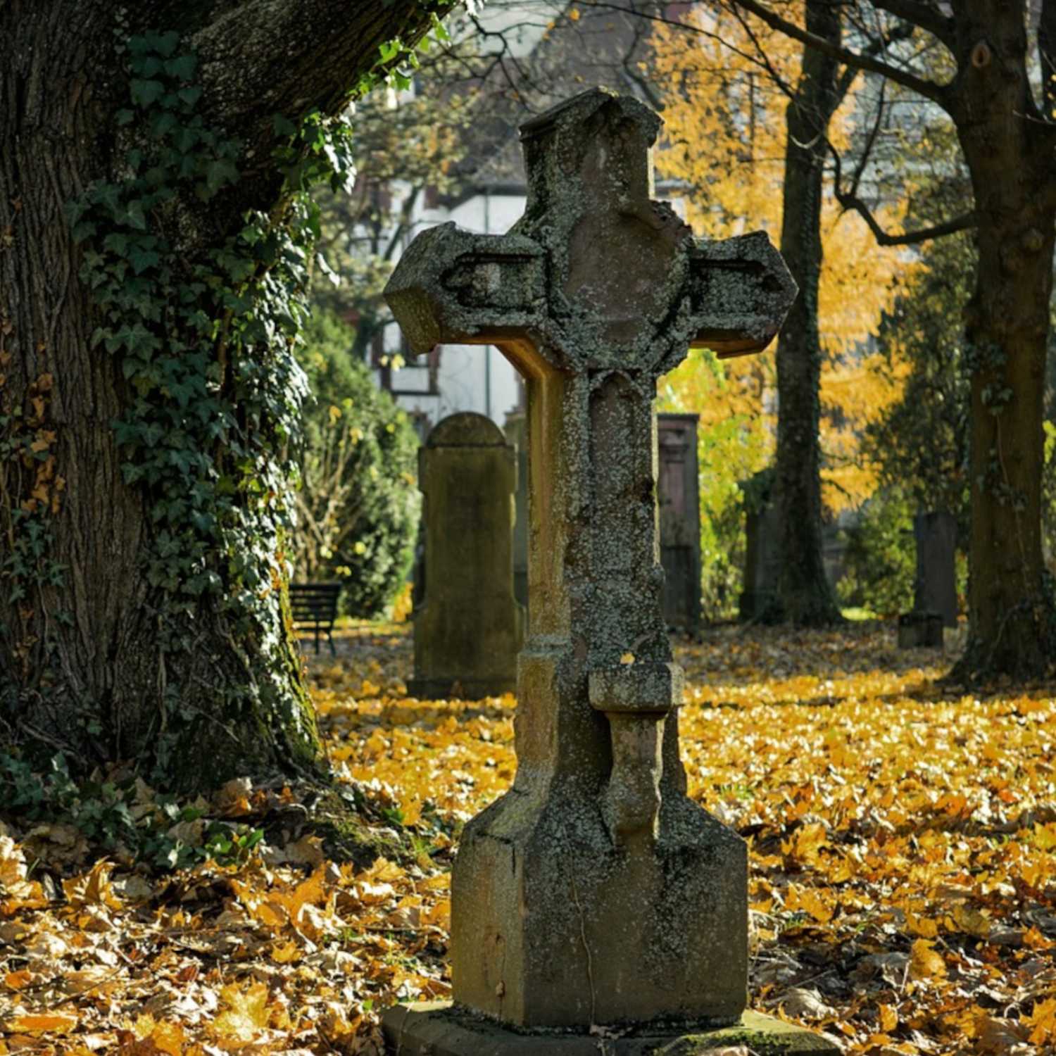 Ep. 86 - Cosmology vs. Worldview Pt. 2 - Life, Death, and Homesteading