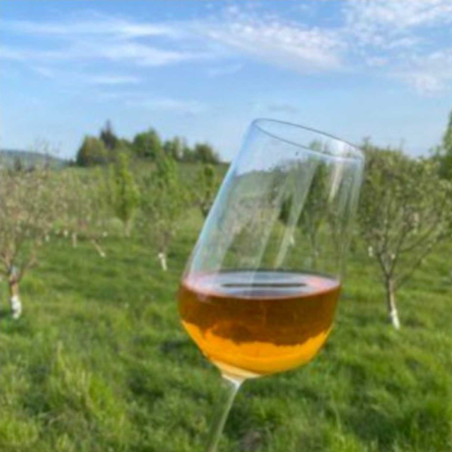 Ep. 99 - Deep Dive and Tips on Crafting Apple Cider - with Mike Thomas