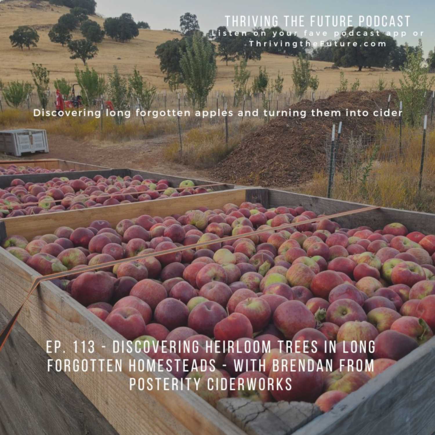 Ep. 113 - Finding Heirloom Trees in Long Forgotten Homesteads
