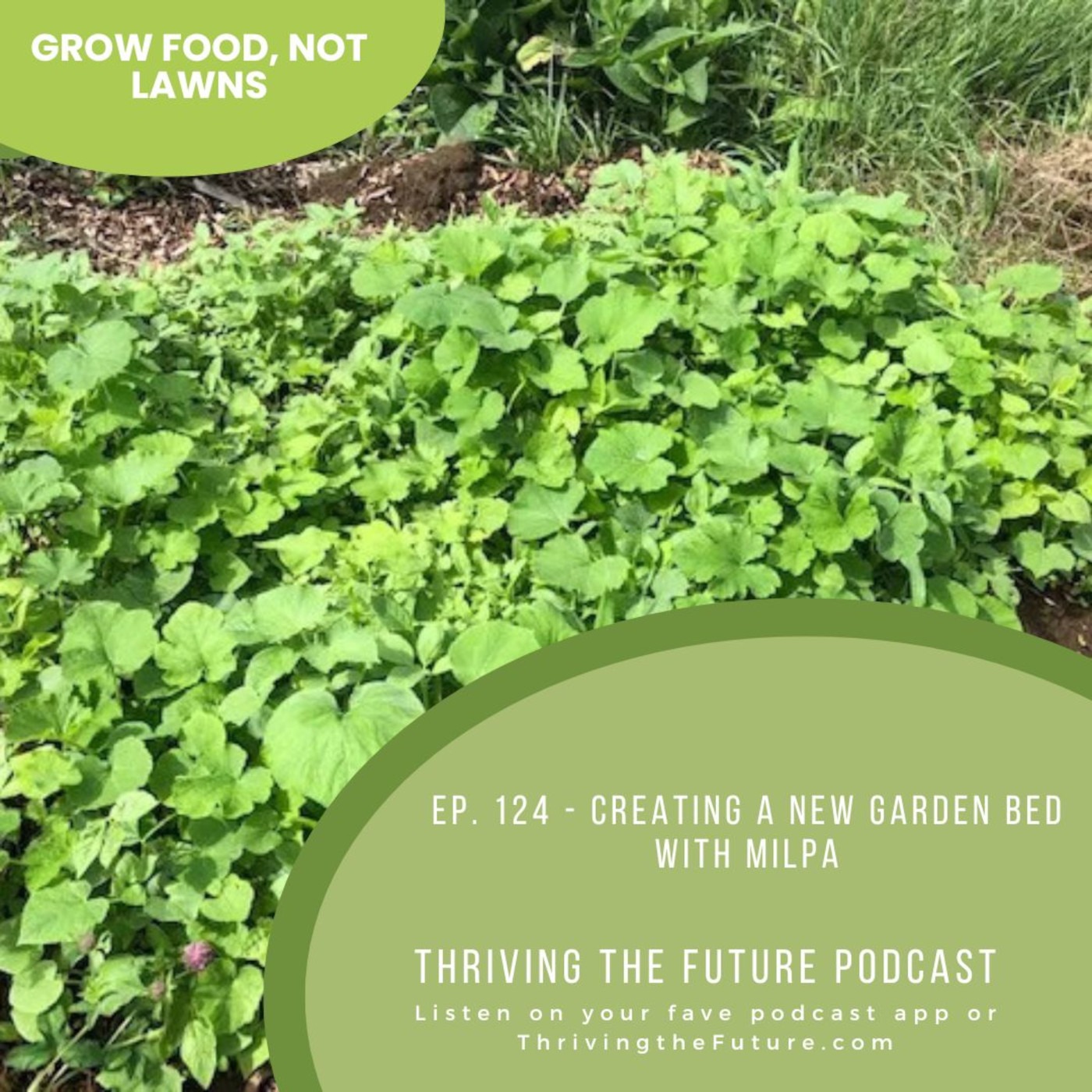 Ep. 124 - Creating a New Garden Bed with Milpa
