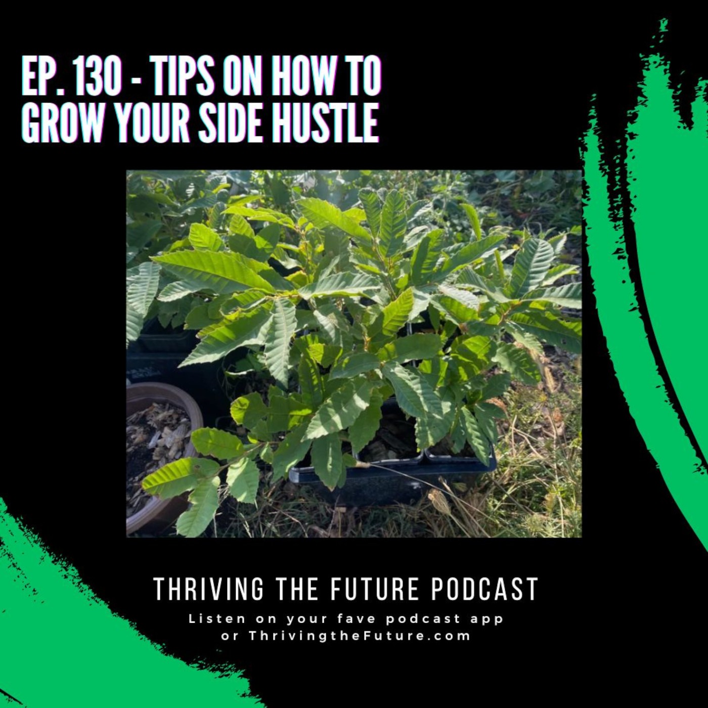 Ep. 130 - Tips on How to Grow Your Side Hustle