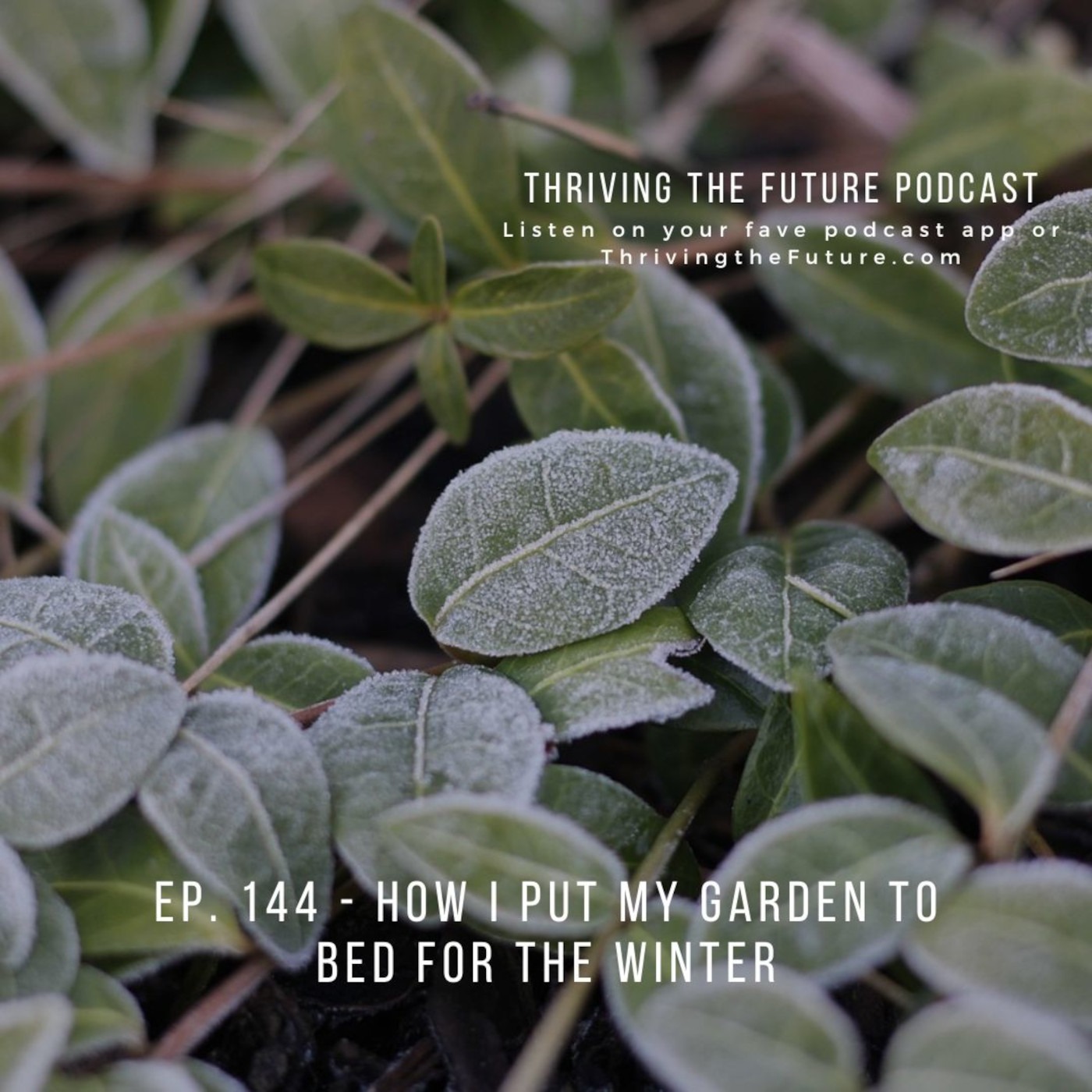 Ep. 144 - How I Put My Garden to Bed for the Winter