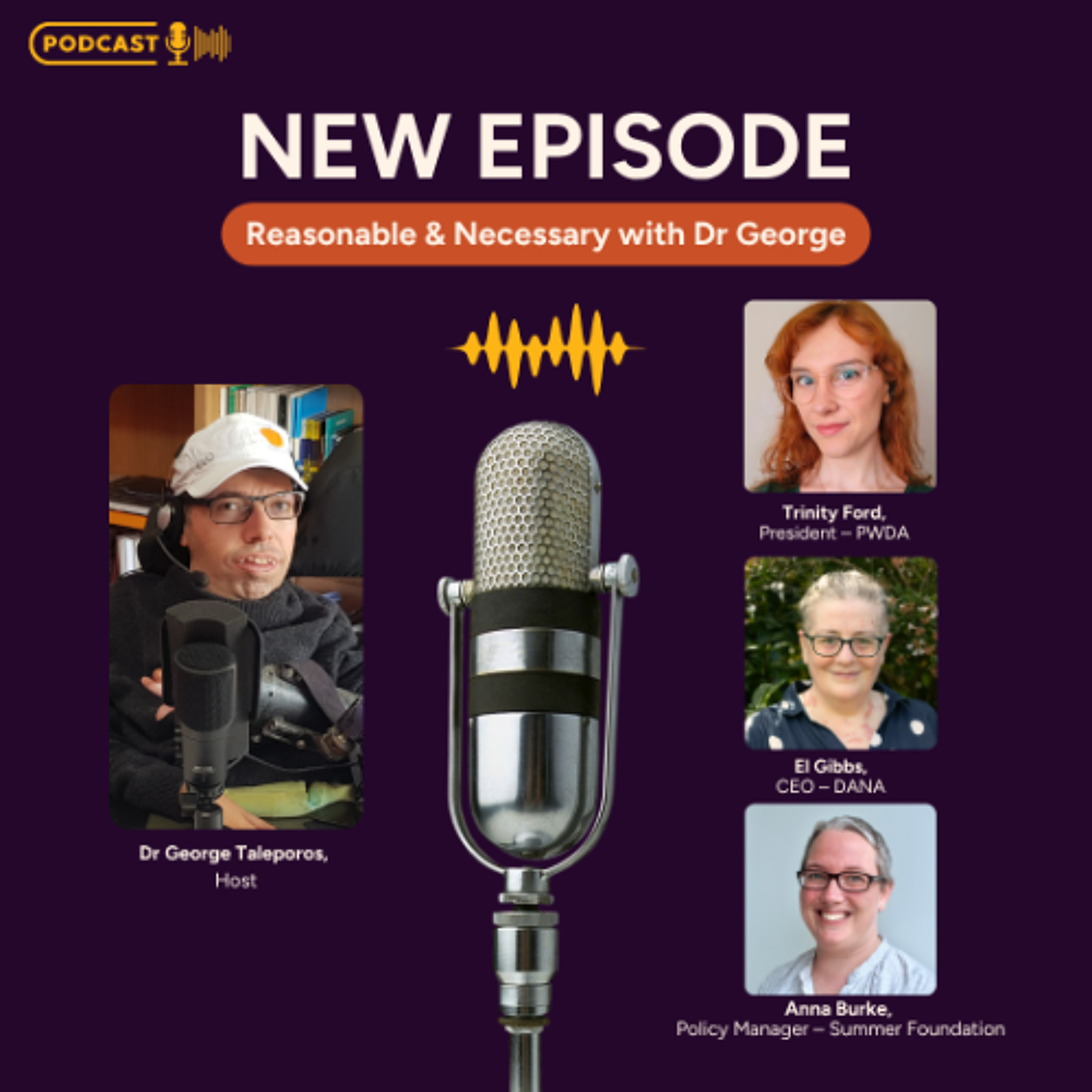 Summer Foundation podcasts