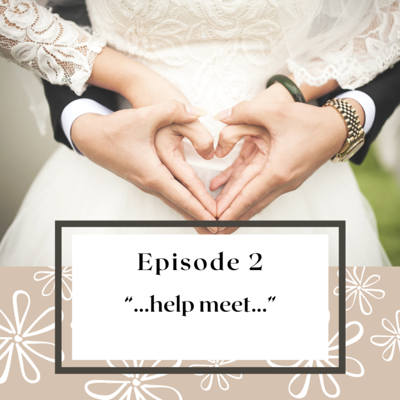 Episode # 2 : "...help meet..." episode artwork