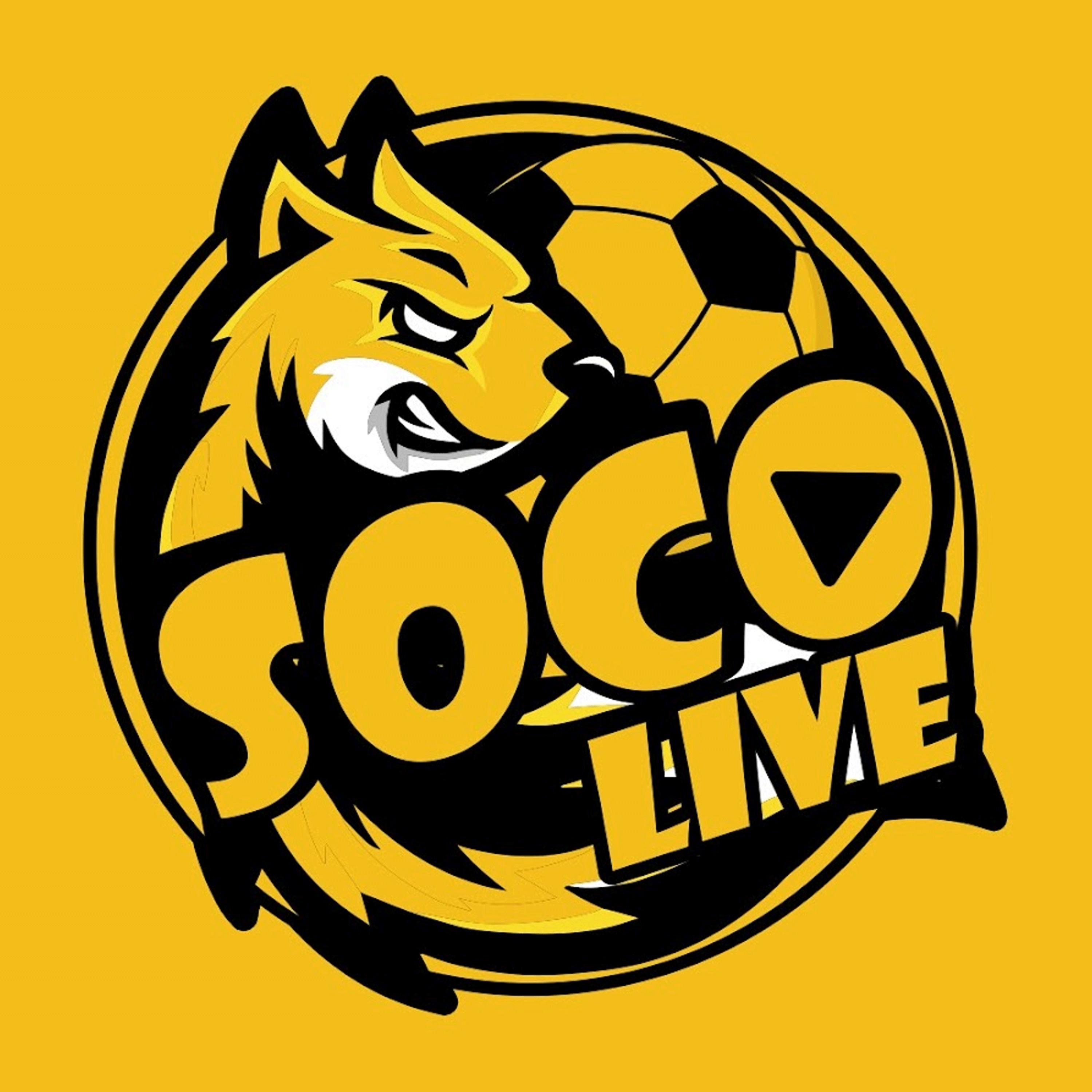 Tin tức trong giới gamming: Cổng tin tức gamming SOCOLIVE