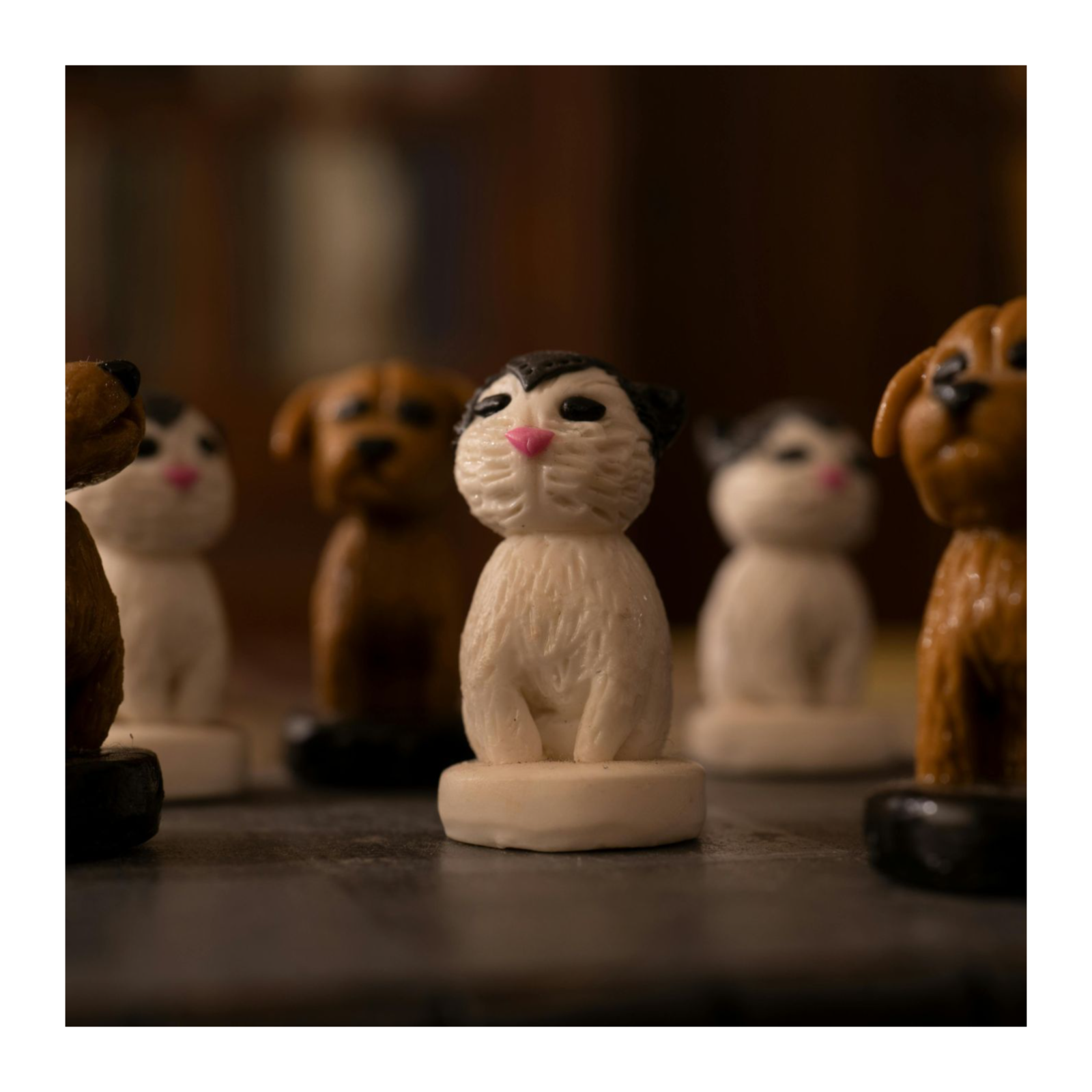 Tiny Wild Stories
