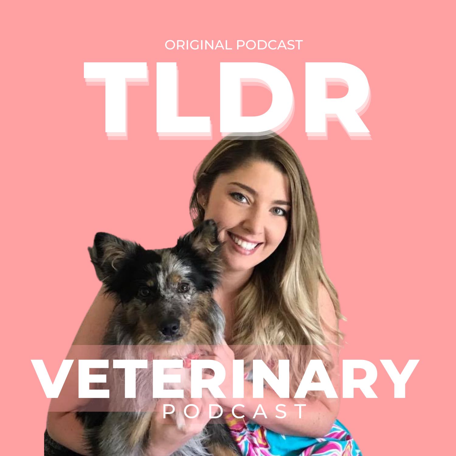 TLDR: Veterinary Podcast podcast artwork
