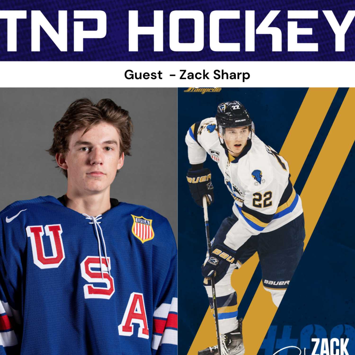 TNP Hockey EP 6- Feat. Zack Sharp & Guest Host Dan Sarnecki