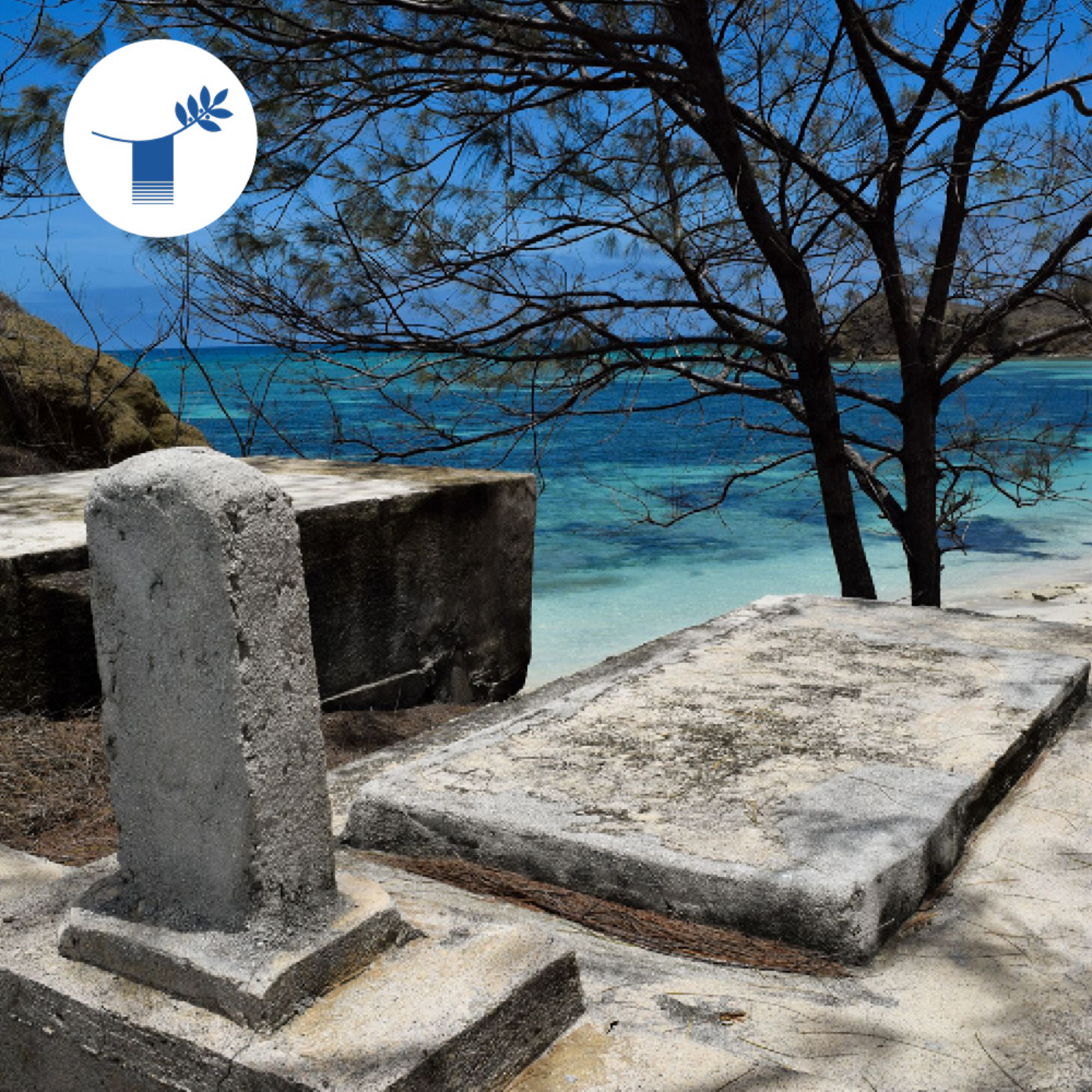 Toda Peace Institute Public Conversations