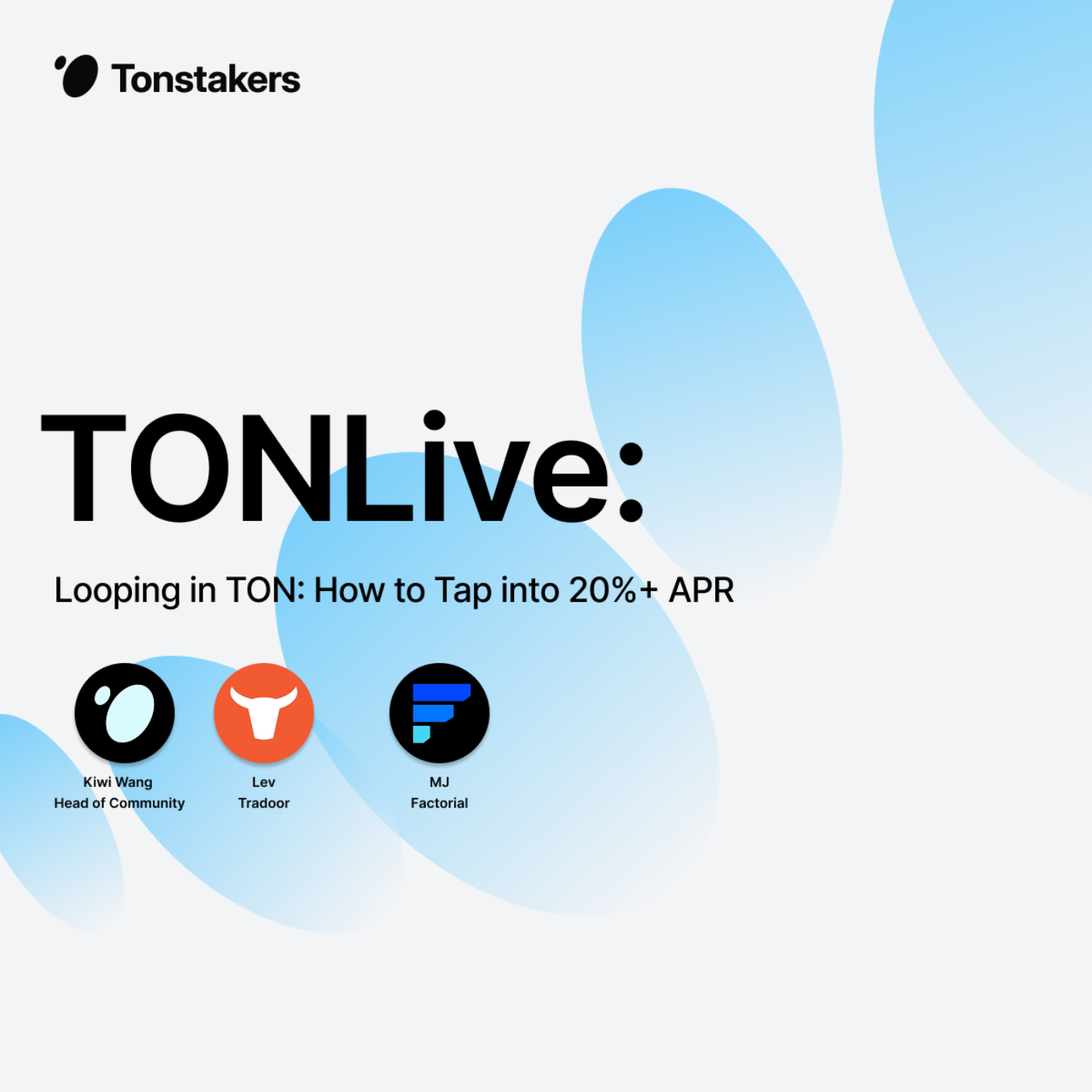 Looping in TON: How to Tap into 20%+ APR