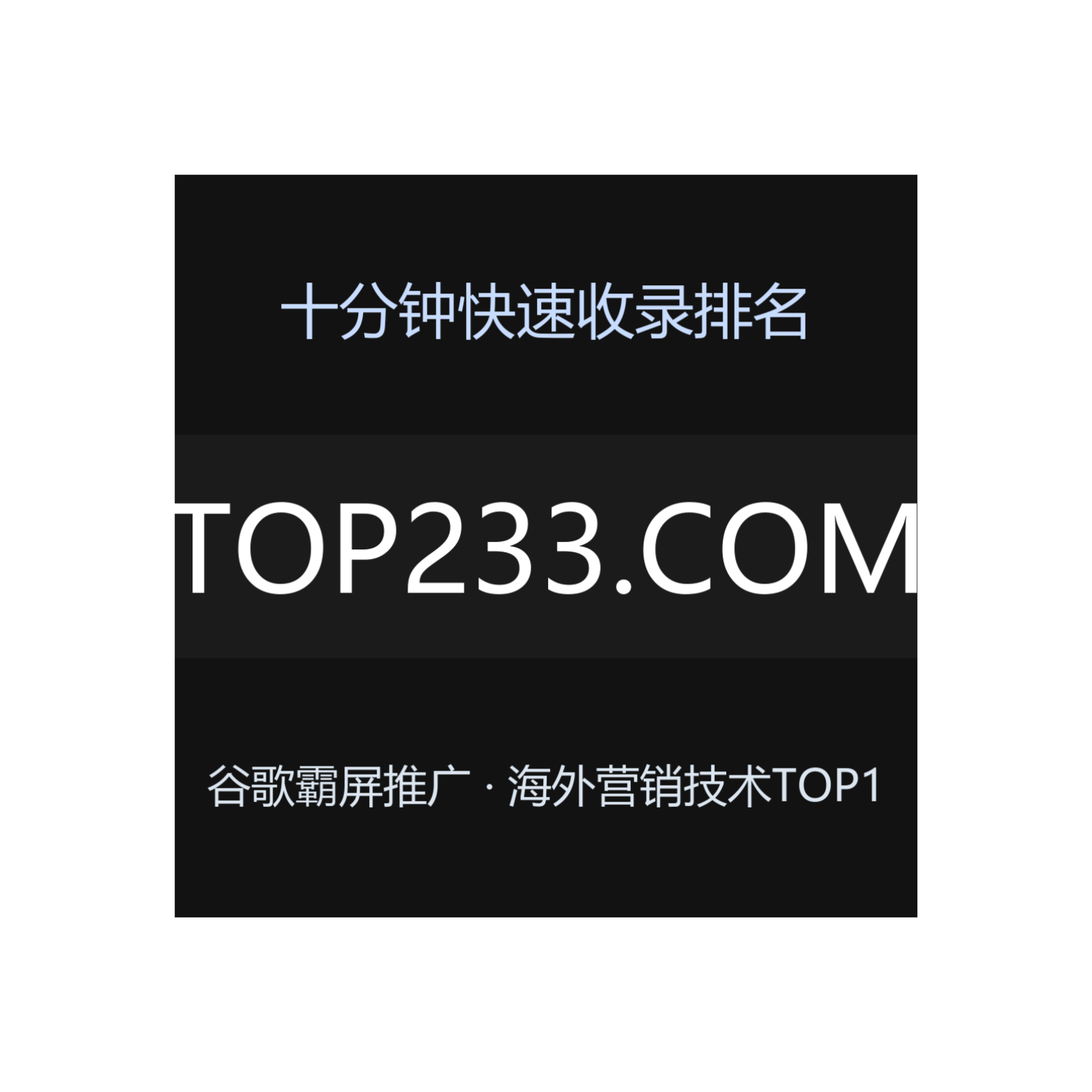 {top233.com}⭐谷歌霸屏方法15种首页占位法 cover