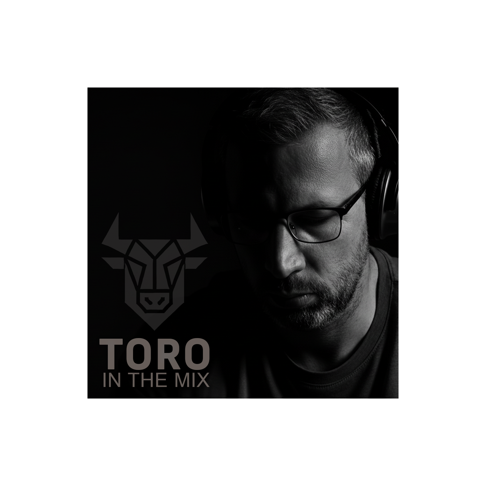 Toro In The Mix