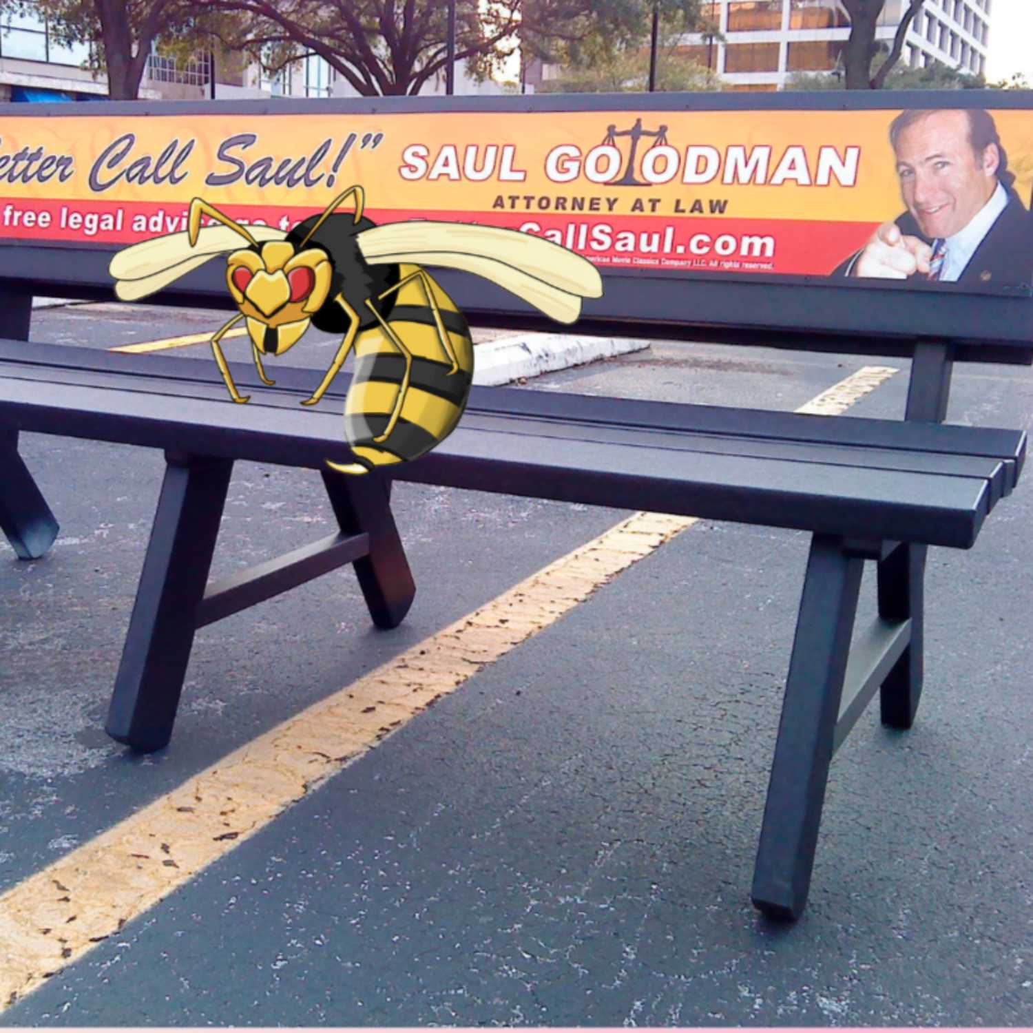 Totally Buggin’