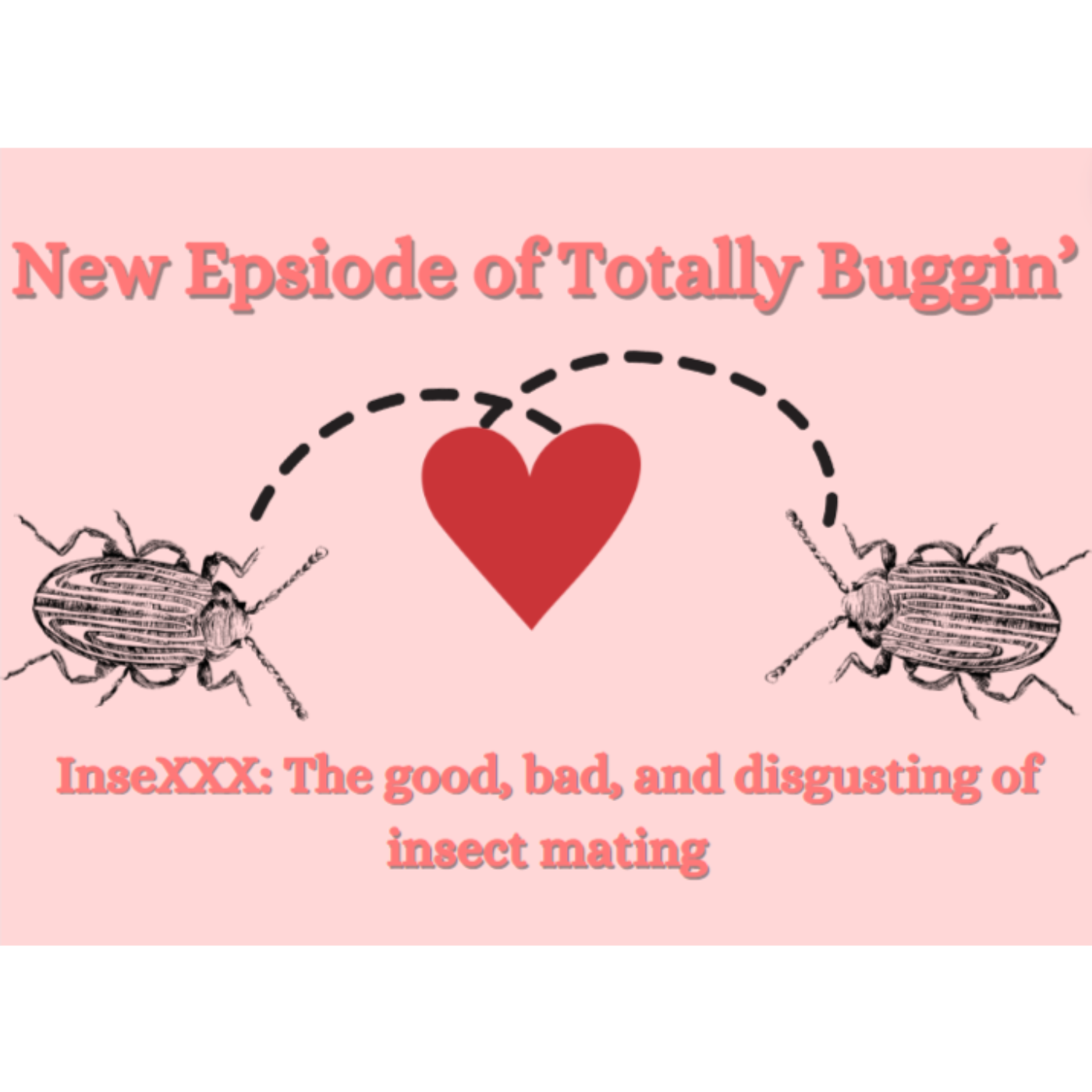 Totally Buggin’