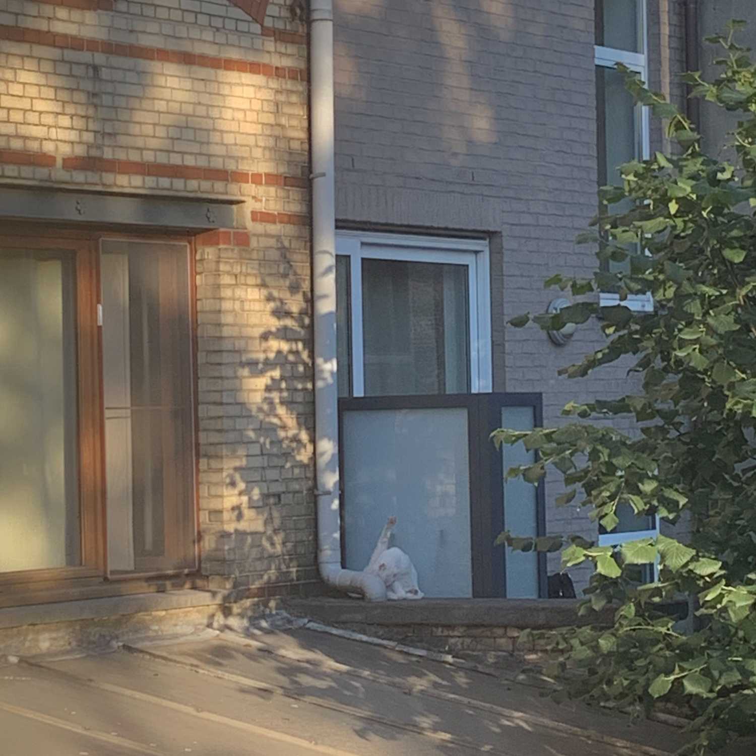 5 redenen waarom je alleen zou moeten wonen. episode artwork