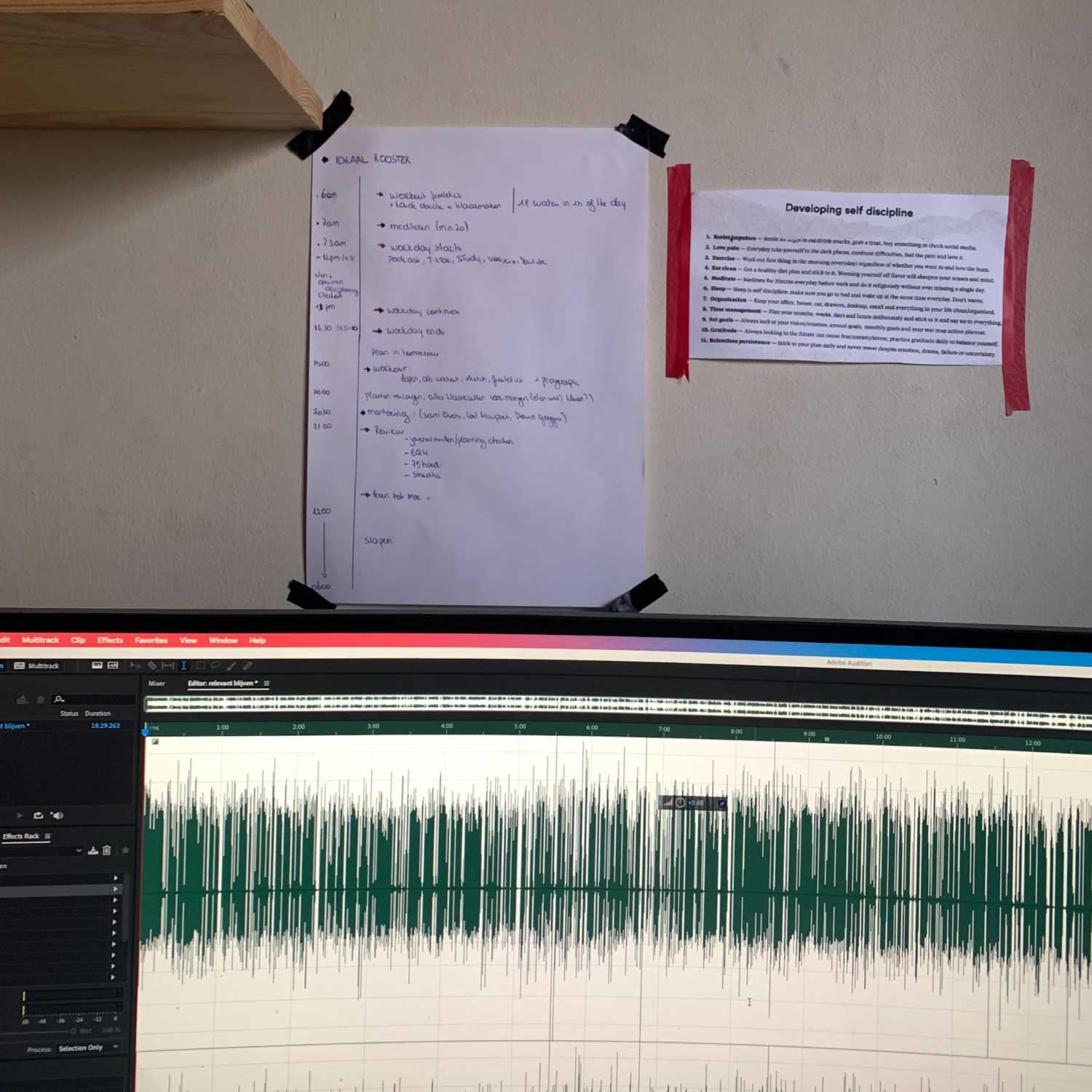 Mijn ideaal rooster. episode artwork