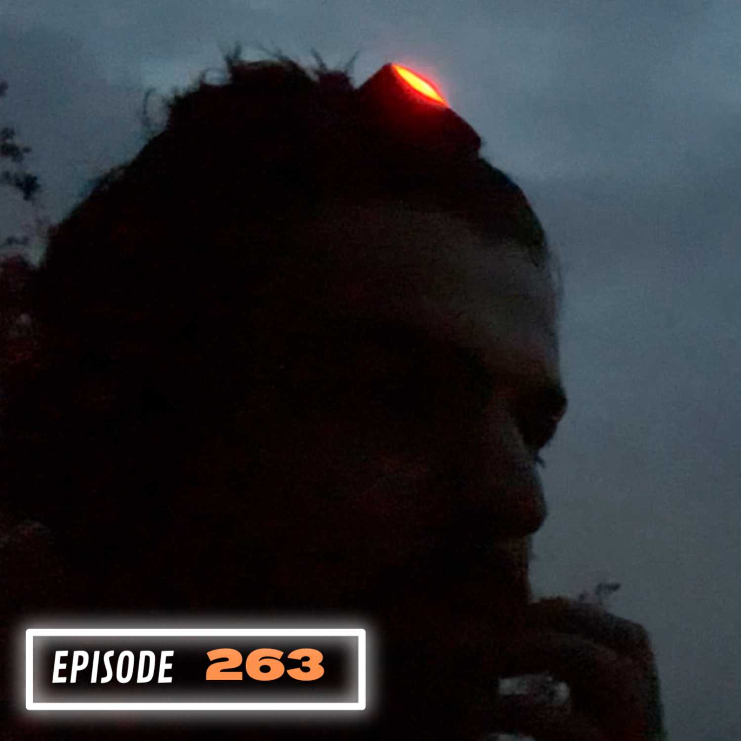 Moeilijke periodes graag hebben is iets dat ik mezelf wijsmaak. episode artwork