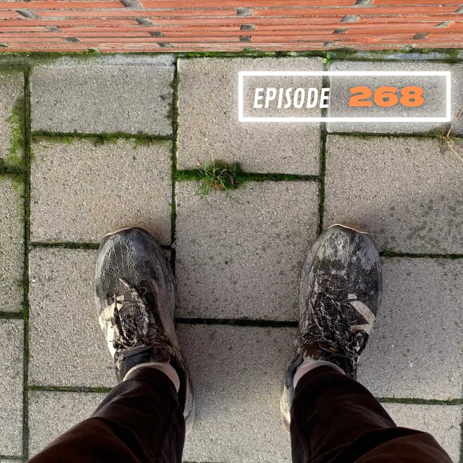 Er zit kracht in onverschilligheid en apathisch reageren. episode artwork