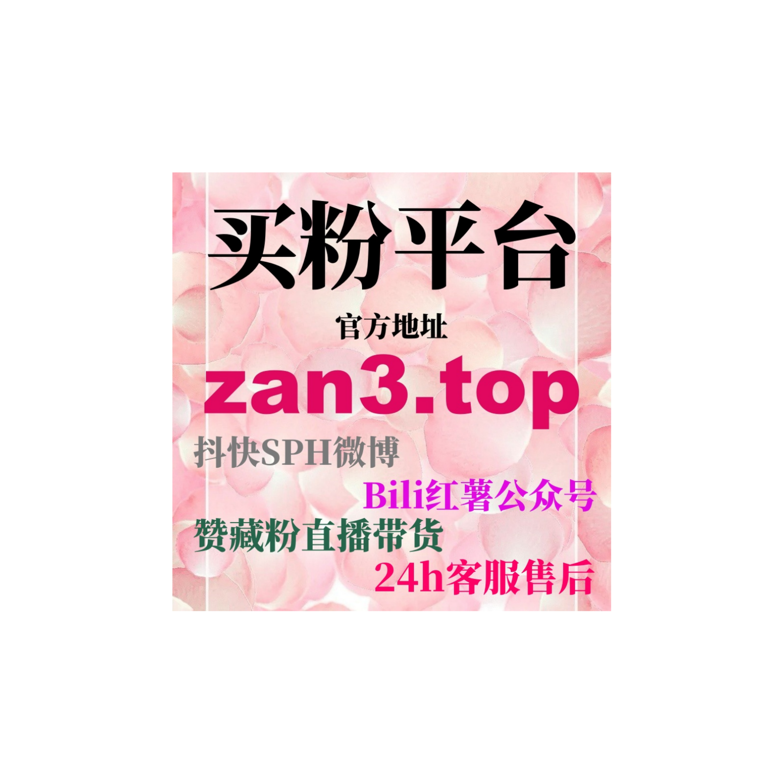 代刷网排行，如何通过用刷粉工具精准增加平台粉丝实现可持续增长。 episode artwork