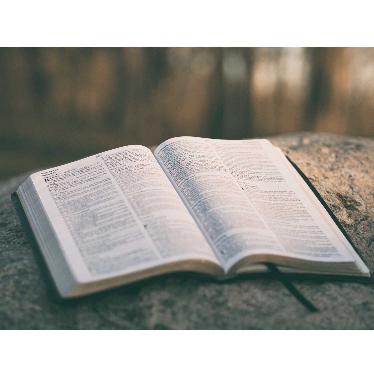 Tracing the Bible Storyline podcast artwork