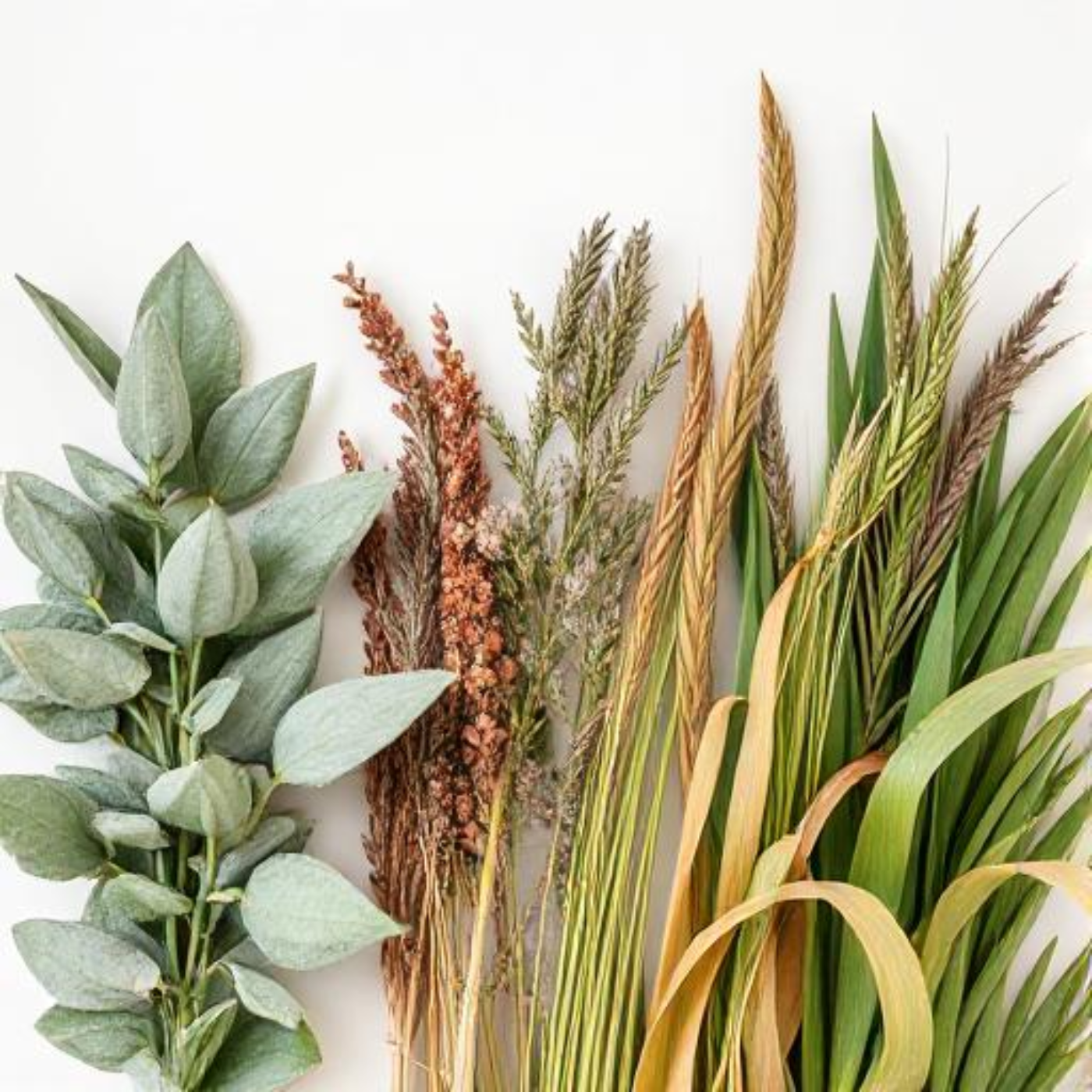 Traditional Healing Through a Haudenosaunee Lens