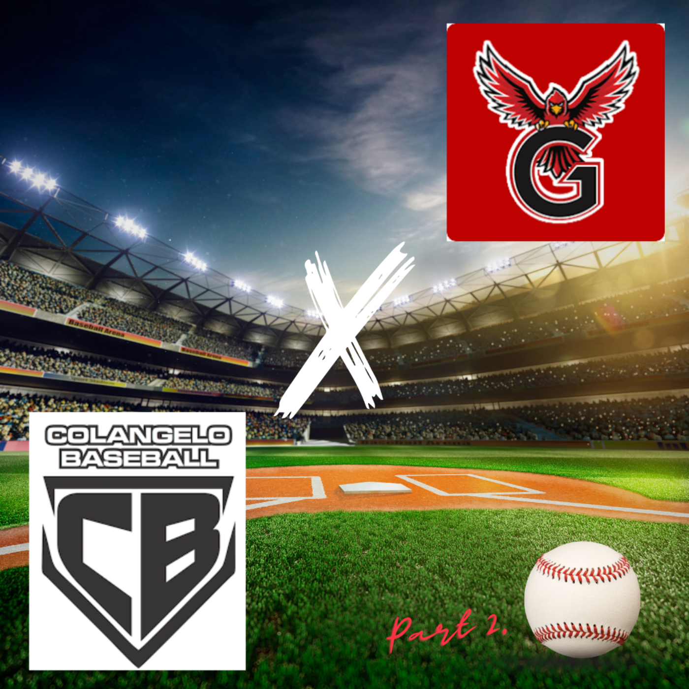 Logan Farrar: The State of High School Baseball