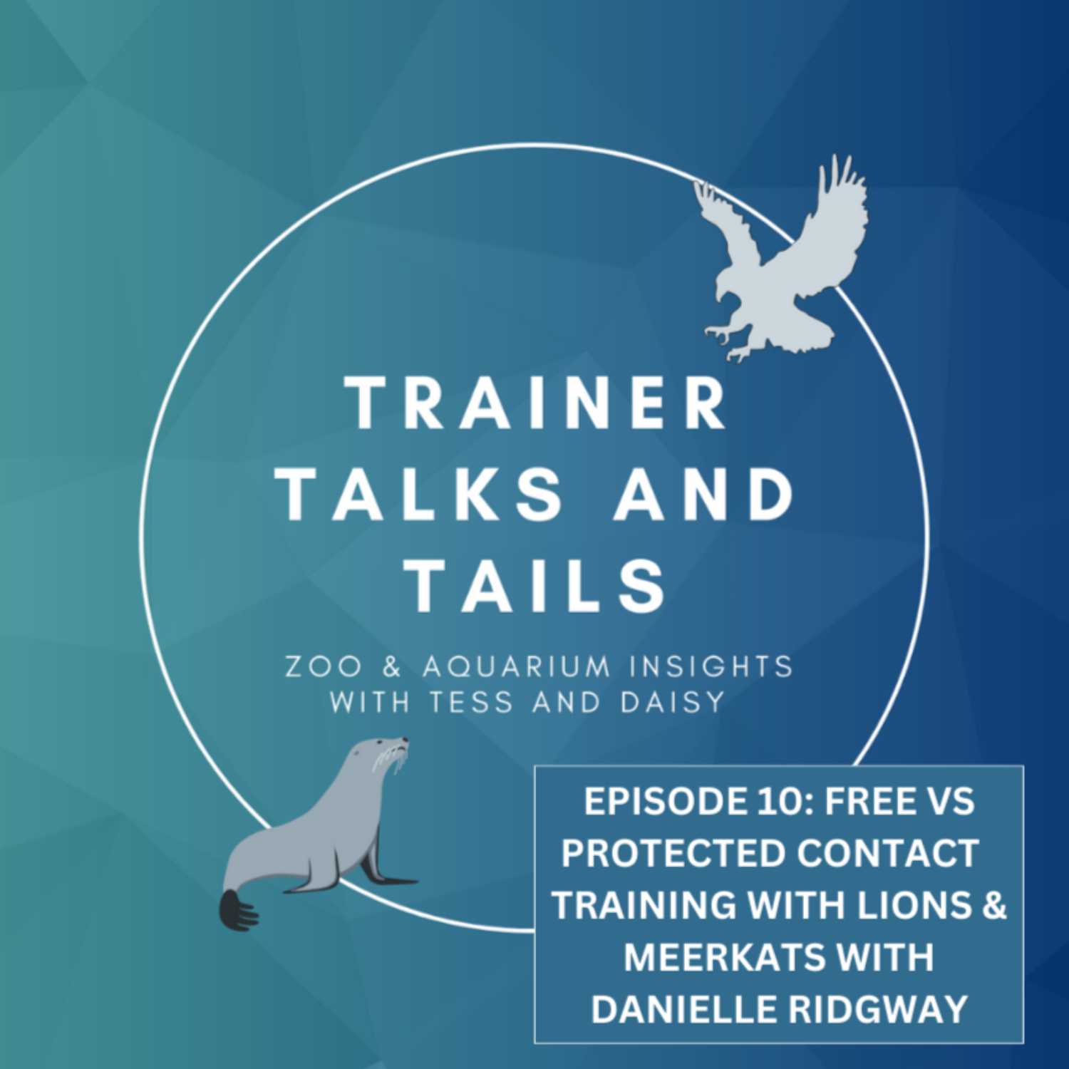Trainer Talks and Tails