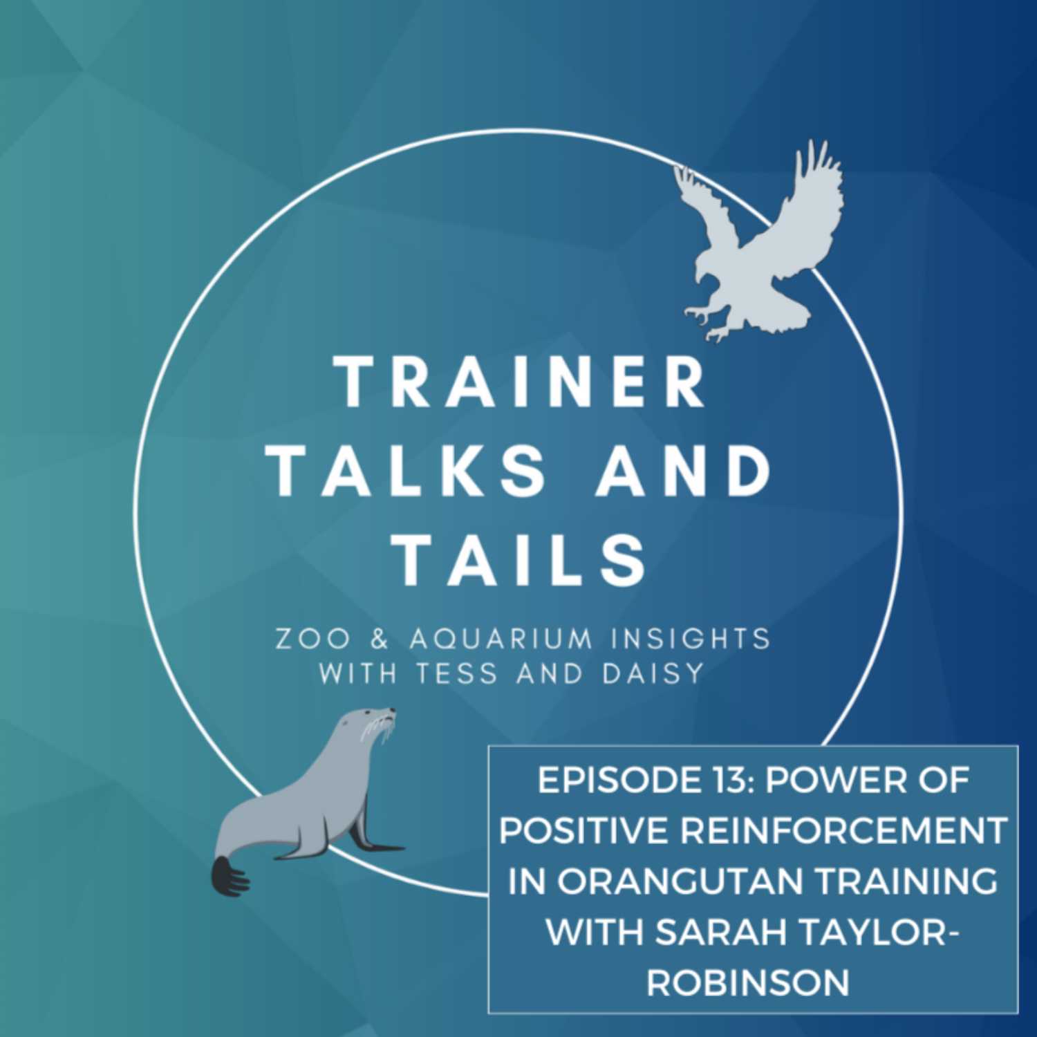 Trainer Talks and Tails