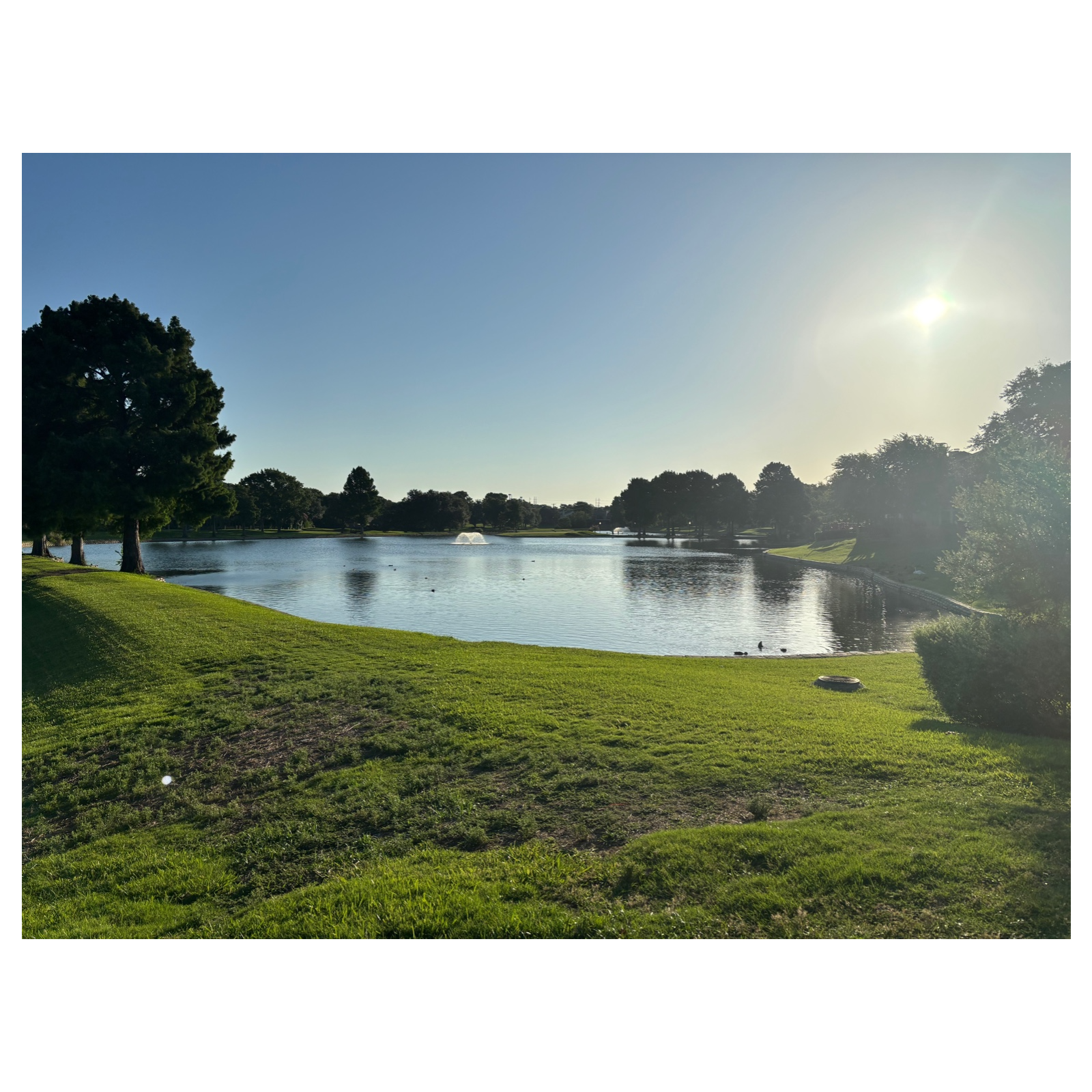 Transfer Kingz Podcast: Mastering DTF Transfers & Custom Printing