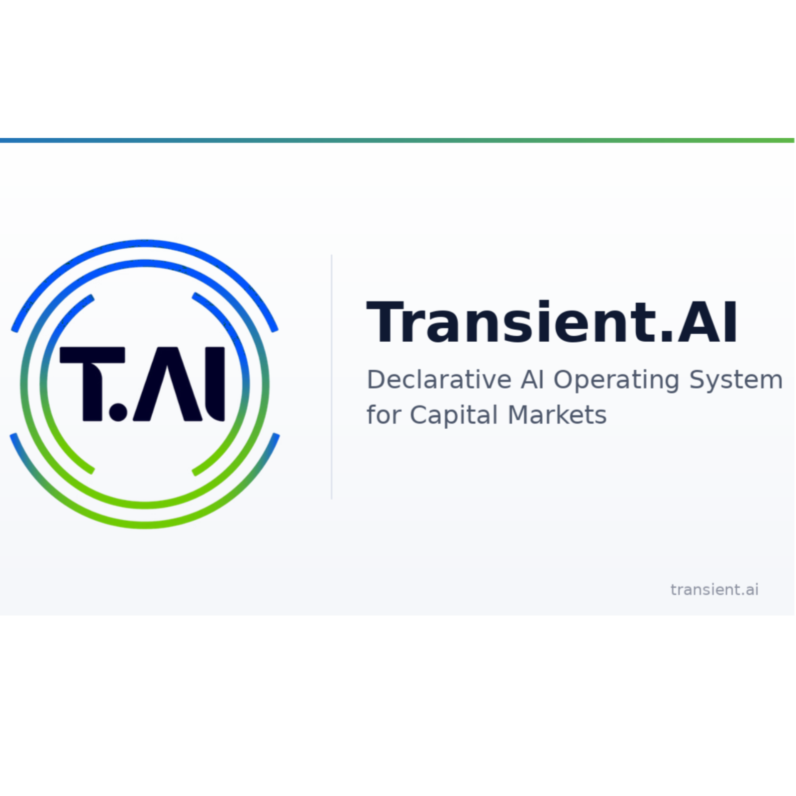 Transient AI