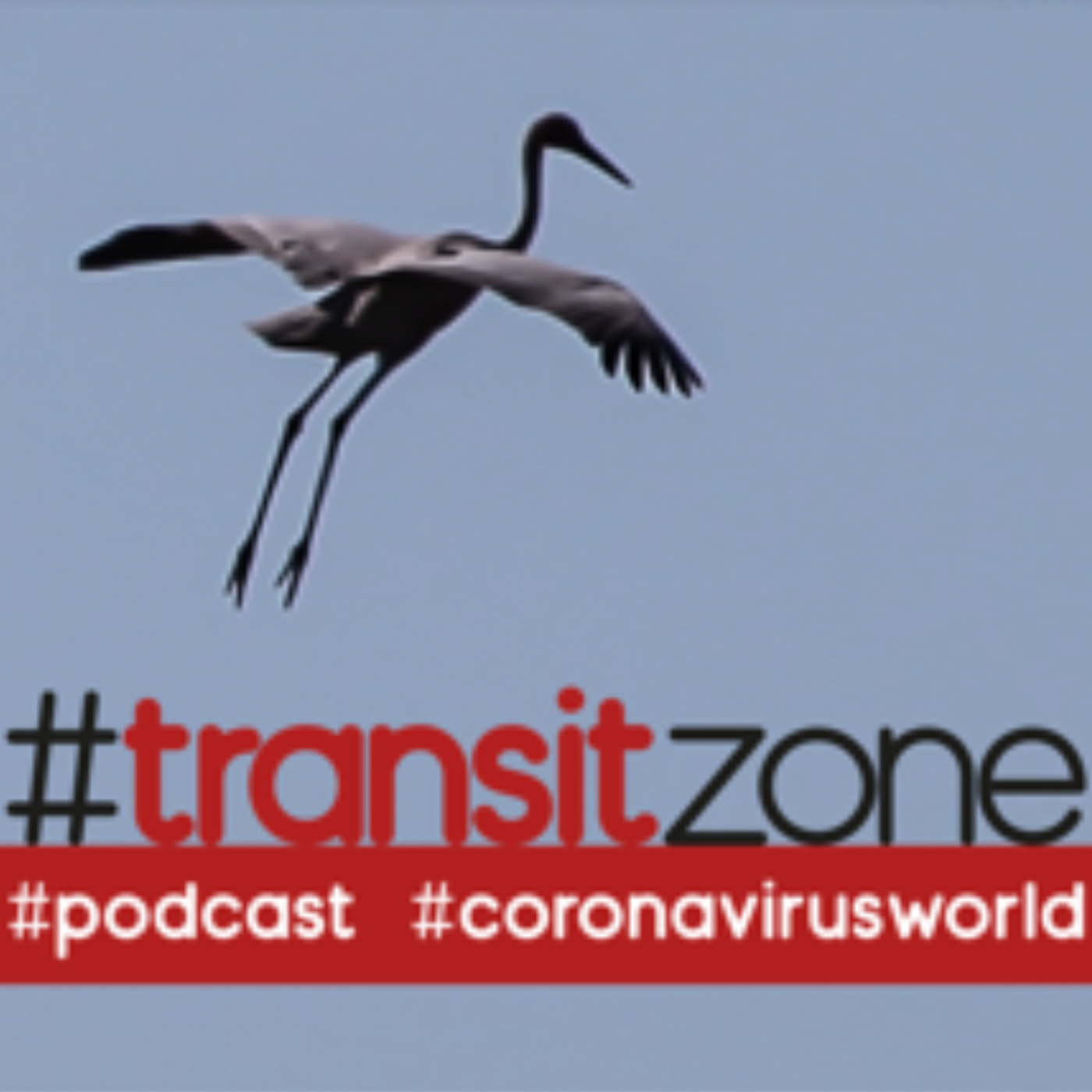 #transitzone