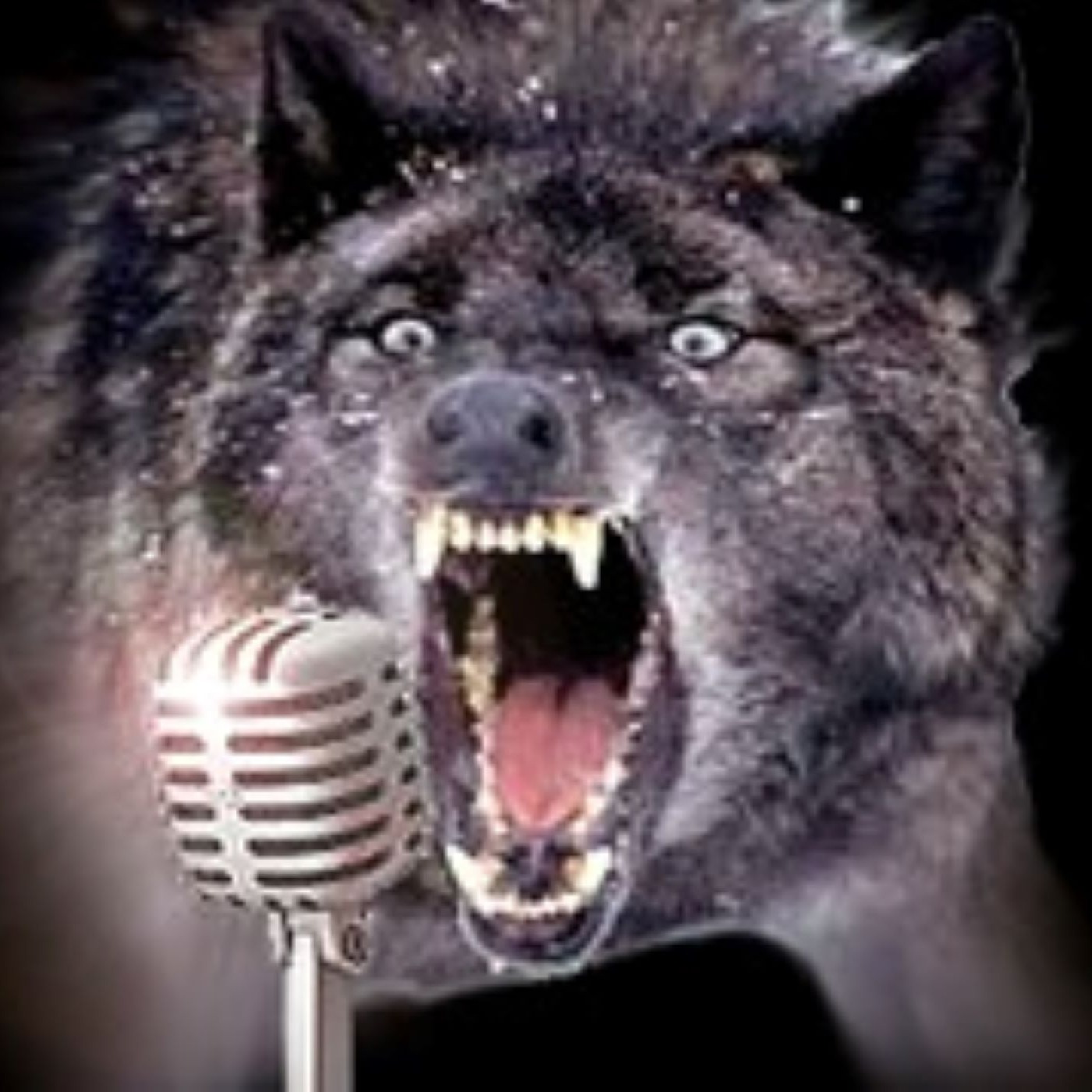 Trapping Radio Podcast 536, featuring long time host- Chip Davis, Rusty Kramer, Jeff Dunlap discuss NTA 2025