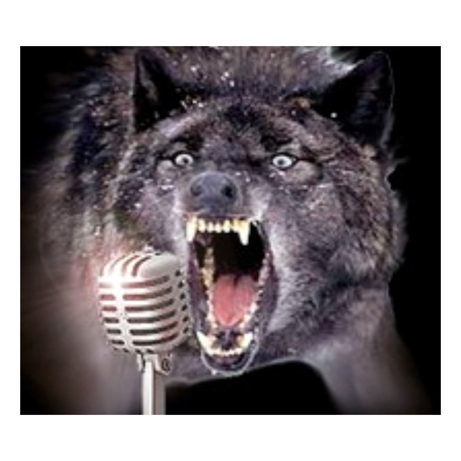 Trapping Radio Podcast 549, Selling FUR!
