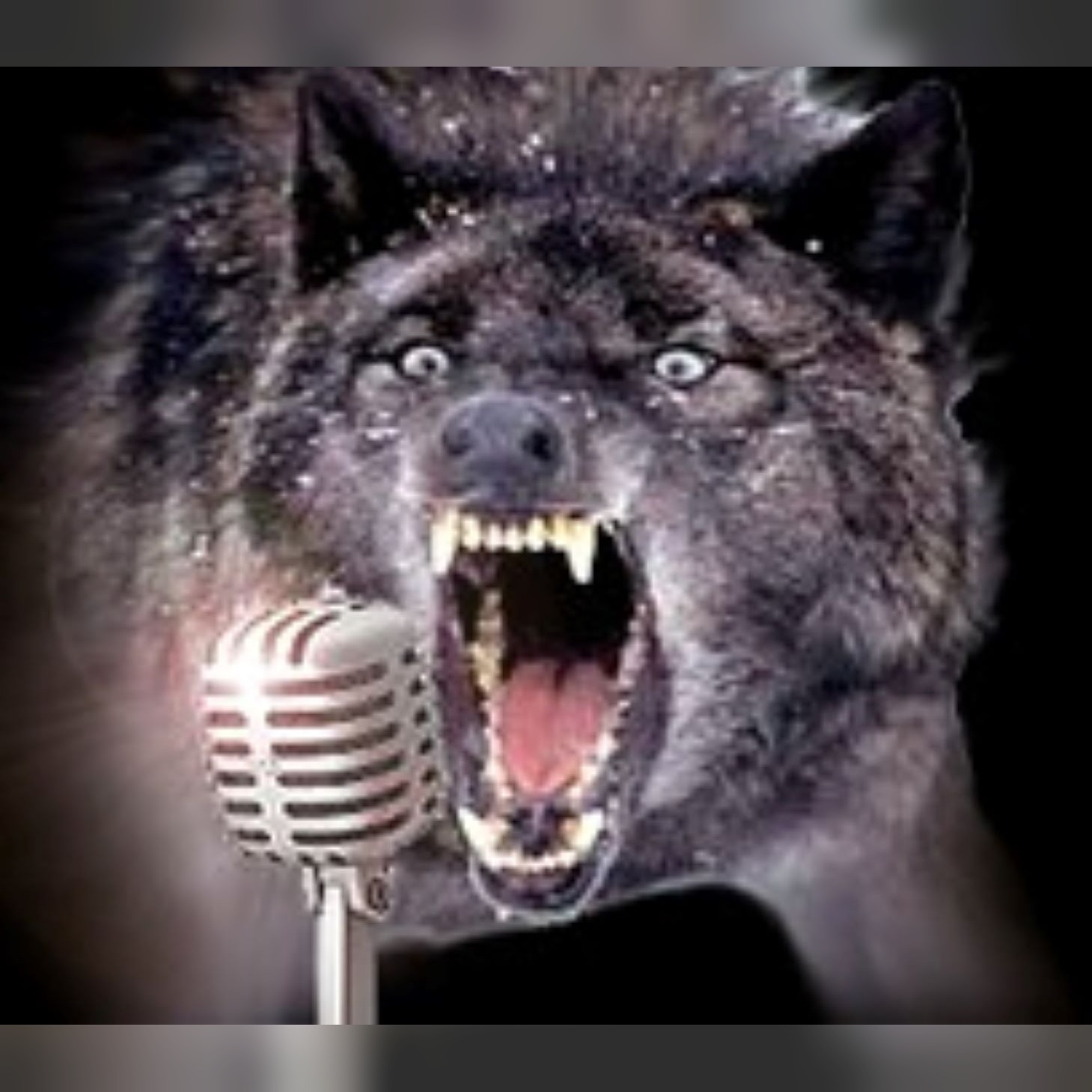 Trapping Radio Podcast 551, Bobcat Trapping, New flagging and new products!