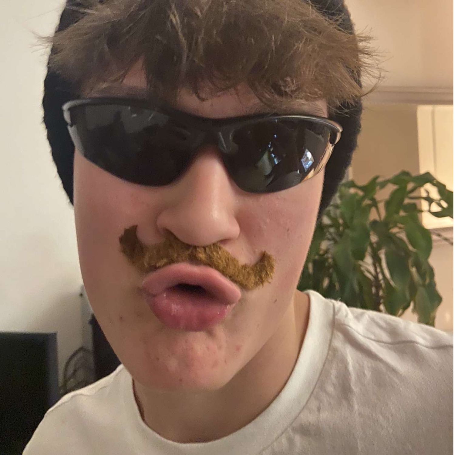 Tratsch & Quatsch