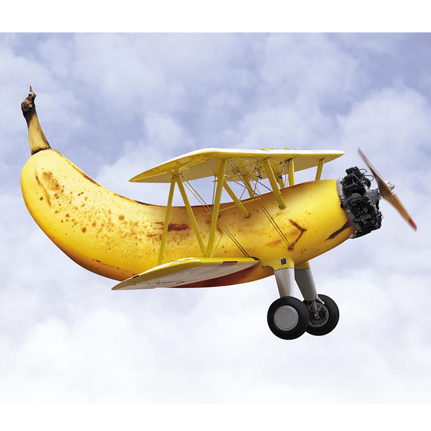 EPISODE 5: BAD BANANA