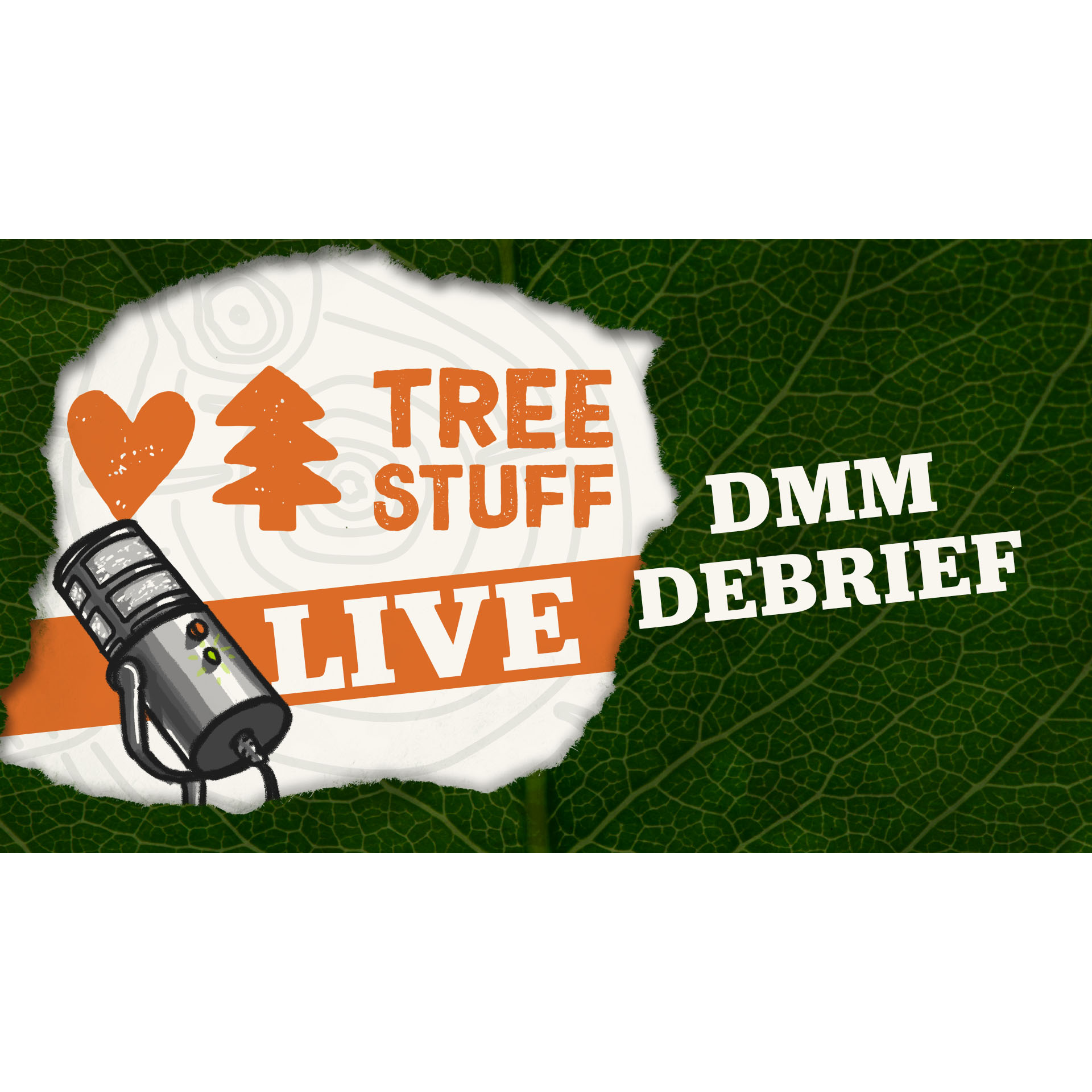 Podcast artwork